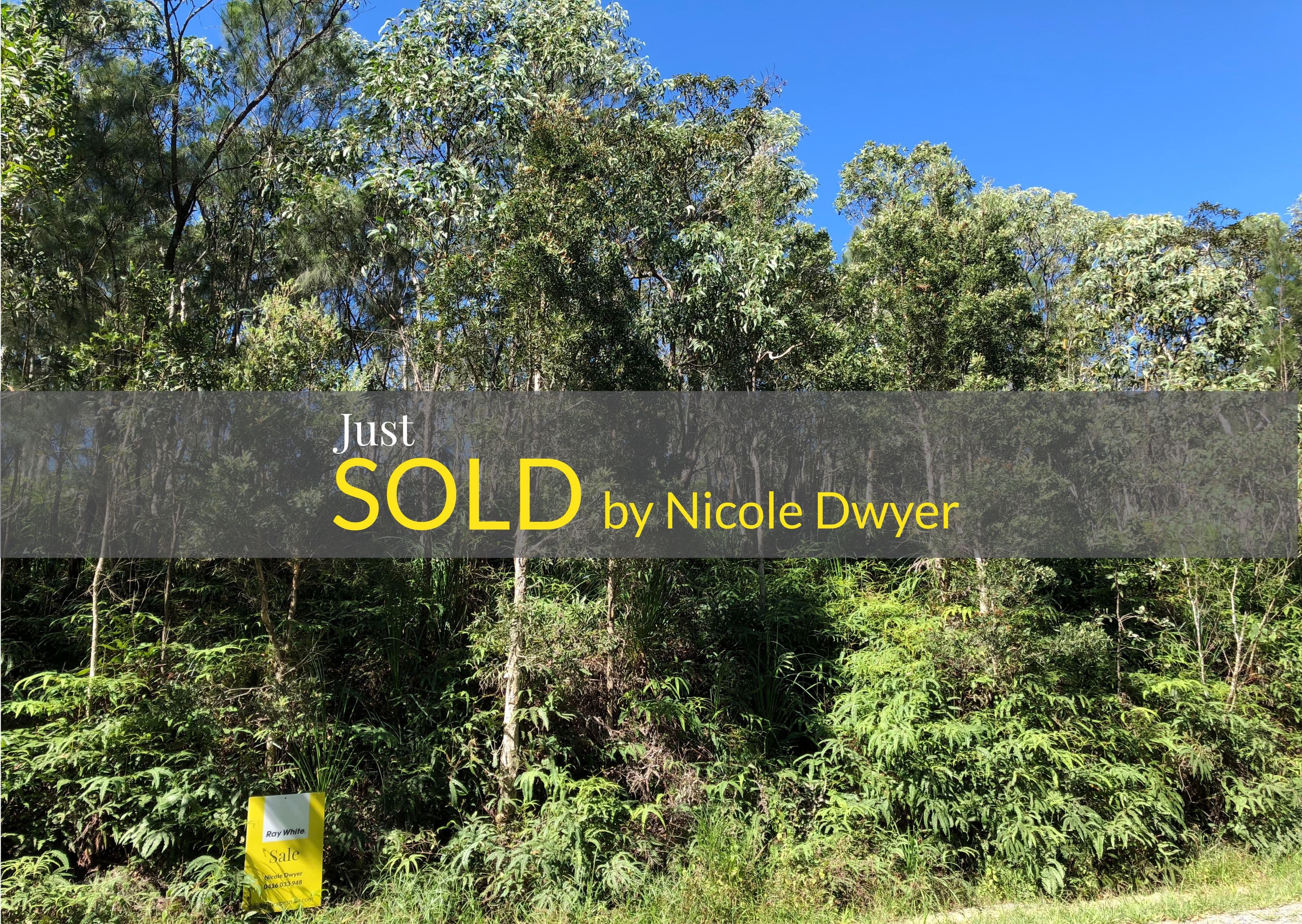 Lot 3 Thornton Peak Drive, Daintree QLD 4873, Daintree - Image 1