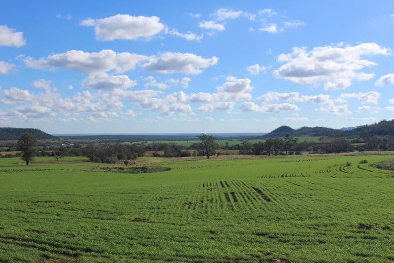 " Wilga Valley", Edgeroi NSW 2390, Edgeroi - Thumbnail 2