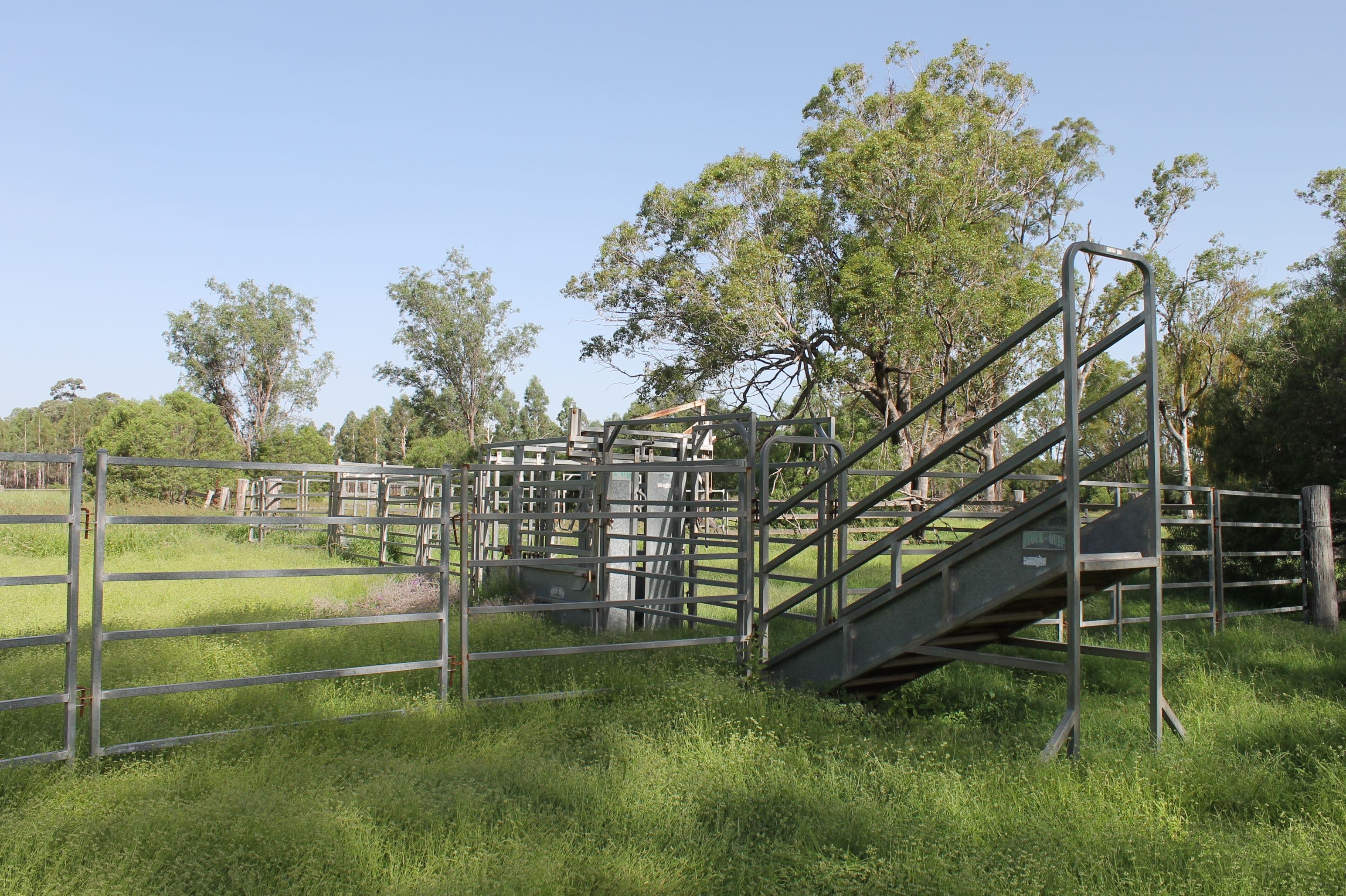 Lot 125 Jinghi Gully Road, Jandowae QLD 4410, Jandowae - Thumbnail 3