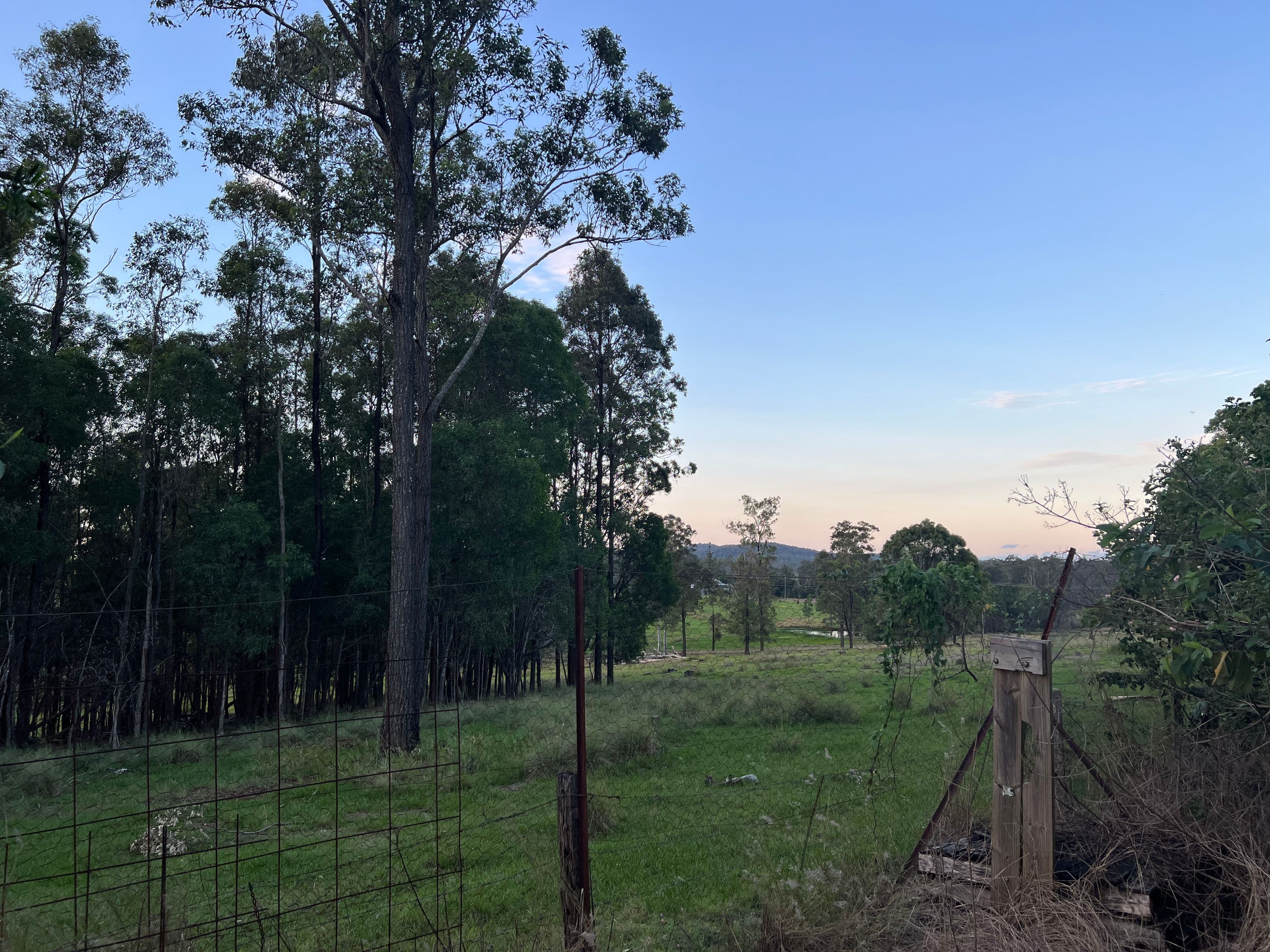 17 Federation Lane, Bauple QLD 4650, Bauple - Thumbnail 3