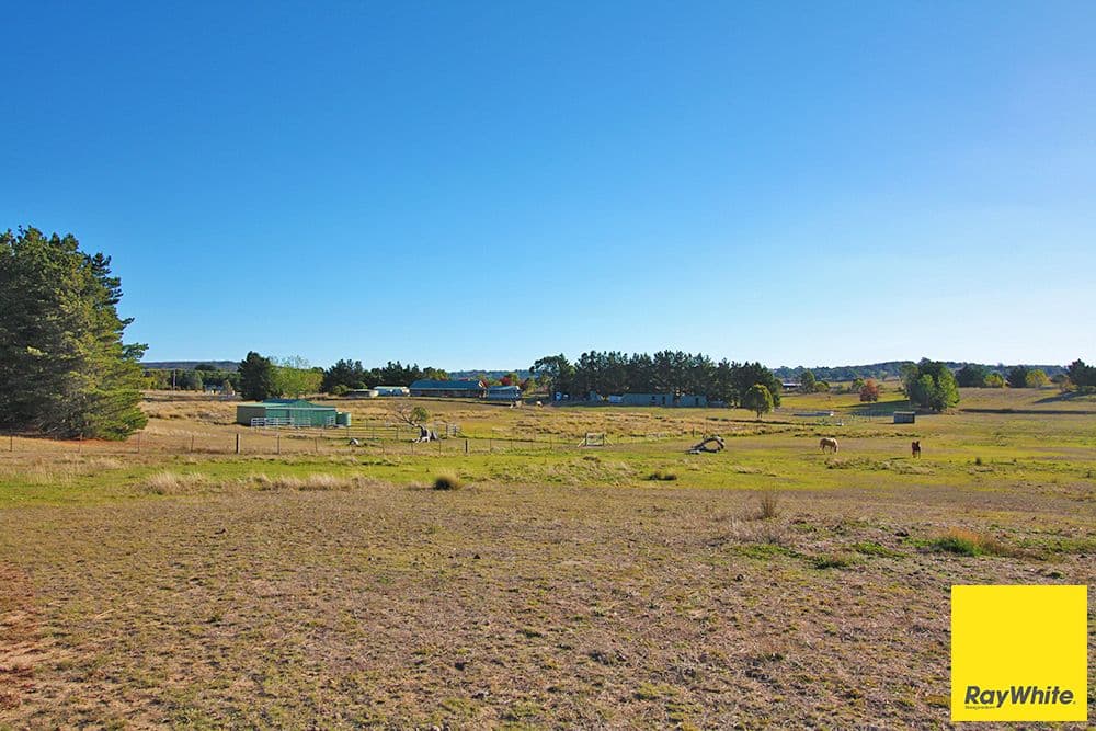 1377 Norton Road, Wamboin - Image 1