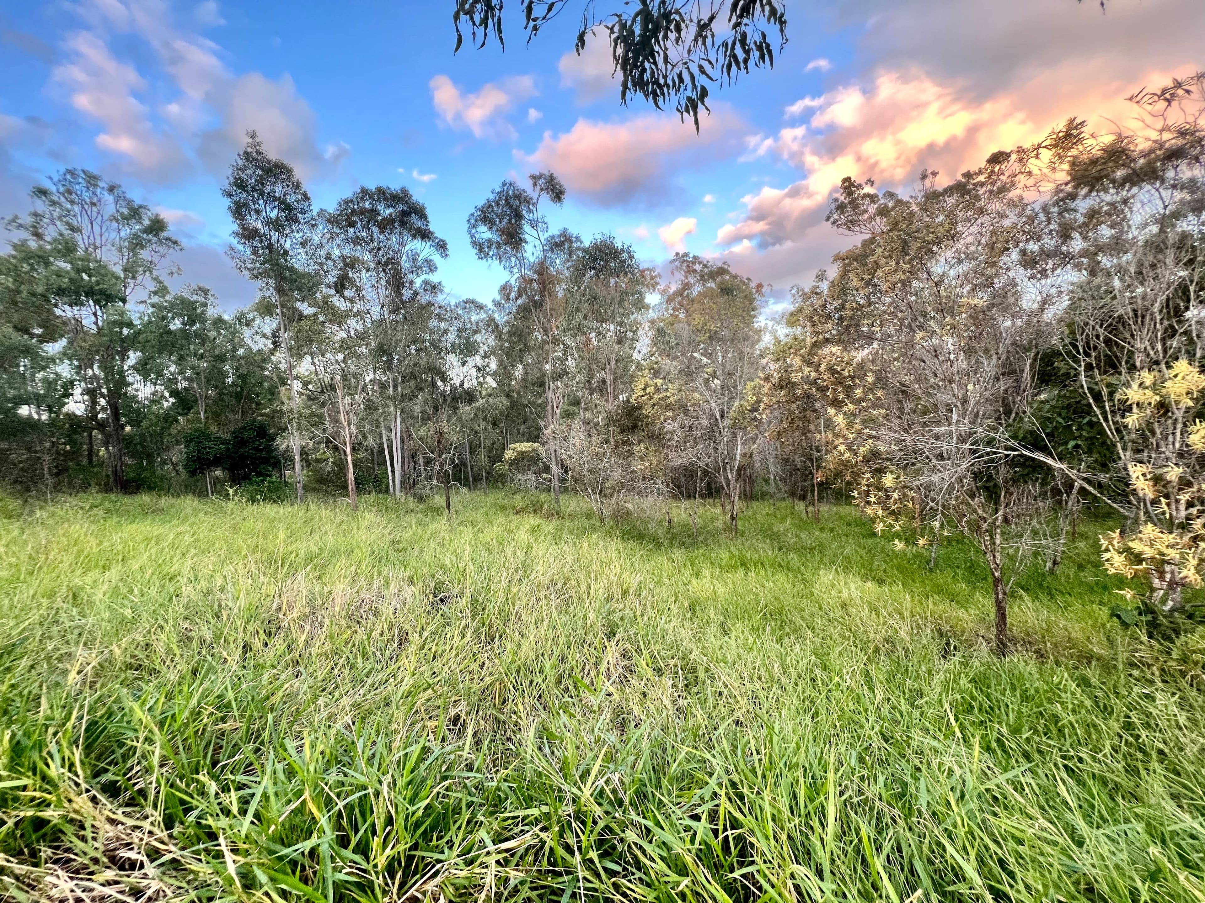 Lot 4 Lirema Court, Delan QLD 4671, Delan - Thumbnail 8