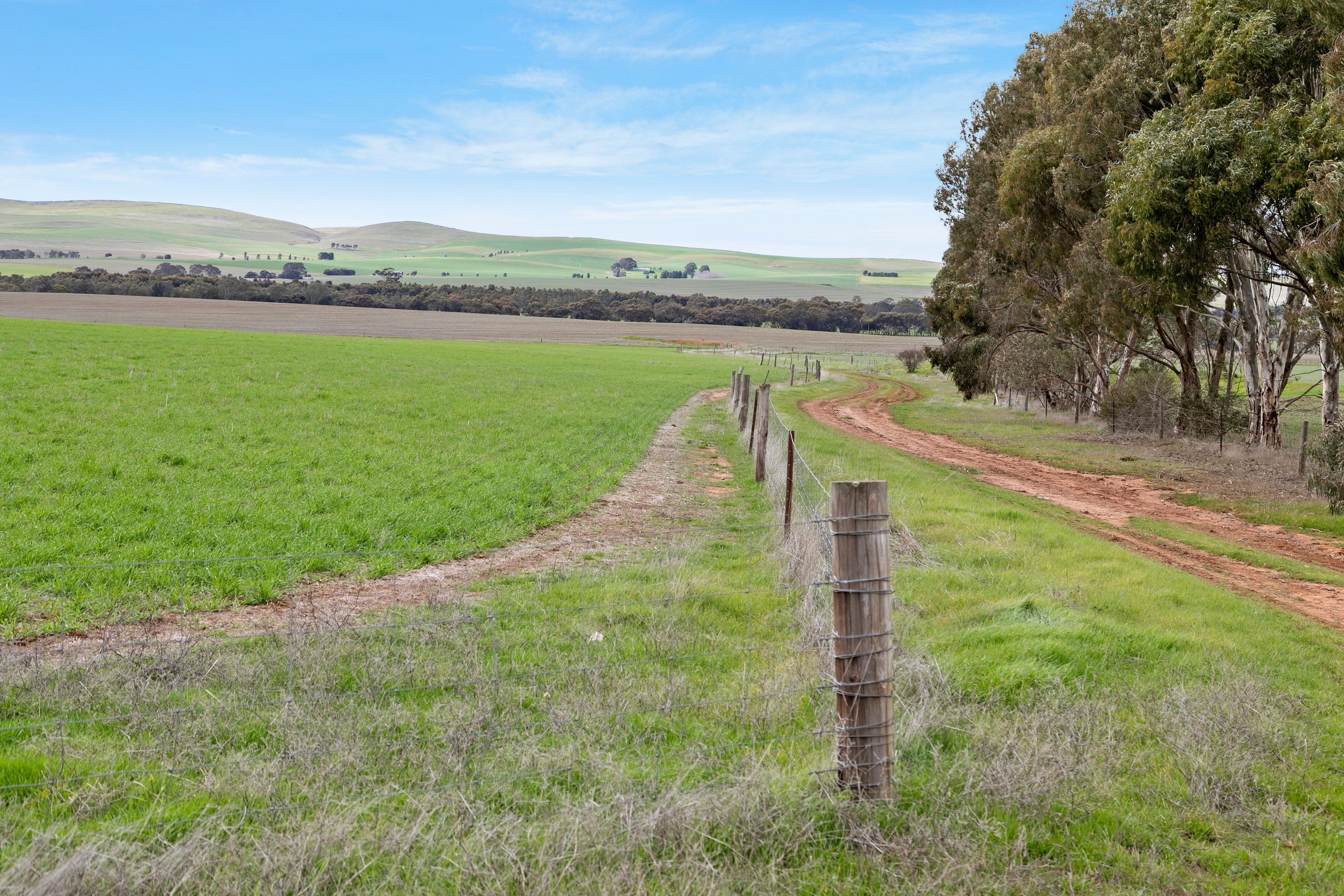 Lot 2 'East' 206 Lally Road, Hill River SA 5453, Hill River - Thumbnail 3