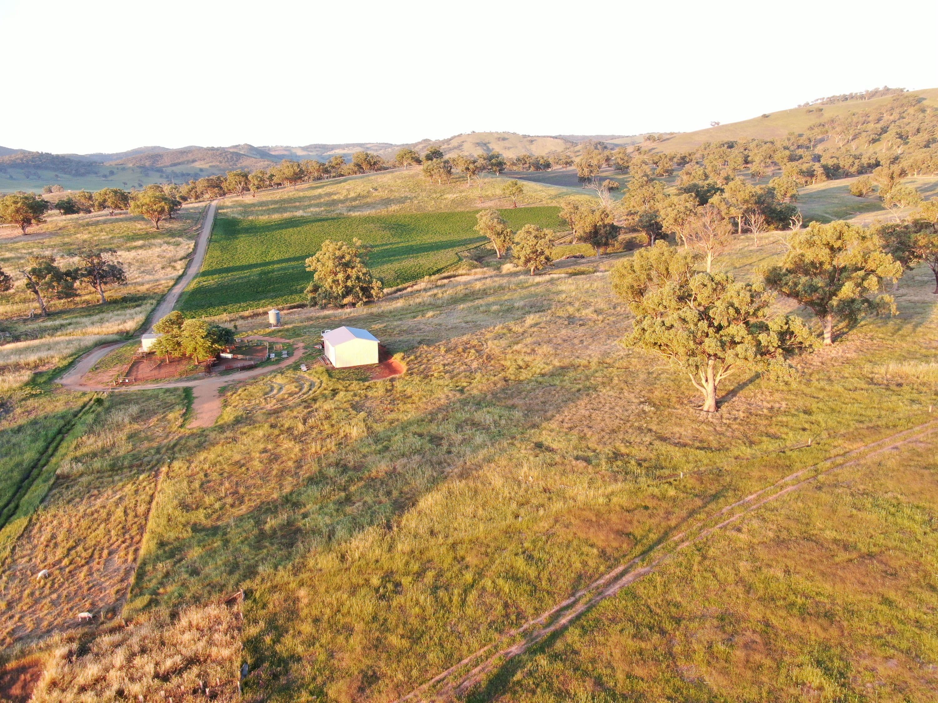 5 Oakhills Road (Nangus), Gundagai NSW 2722, Gundagai - Thumbnail 7