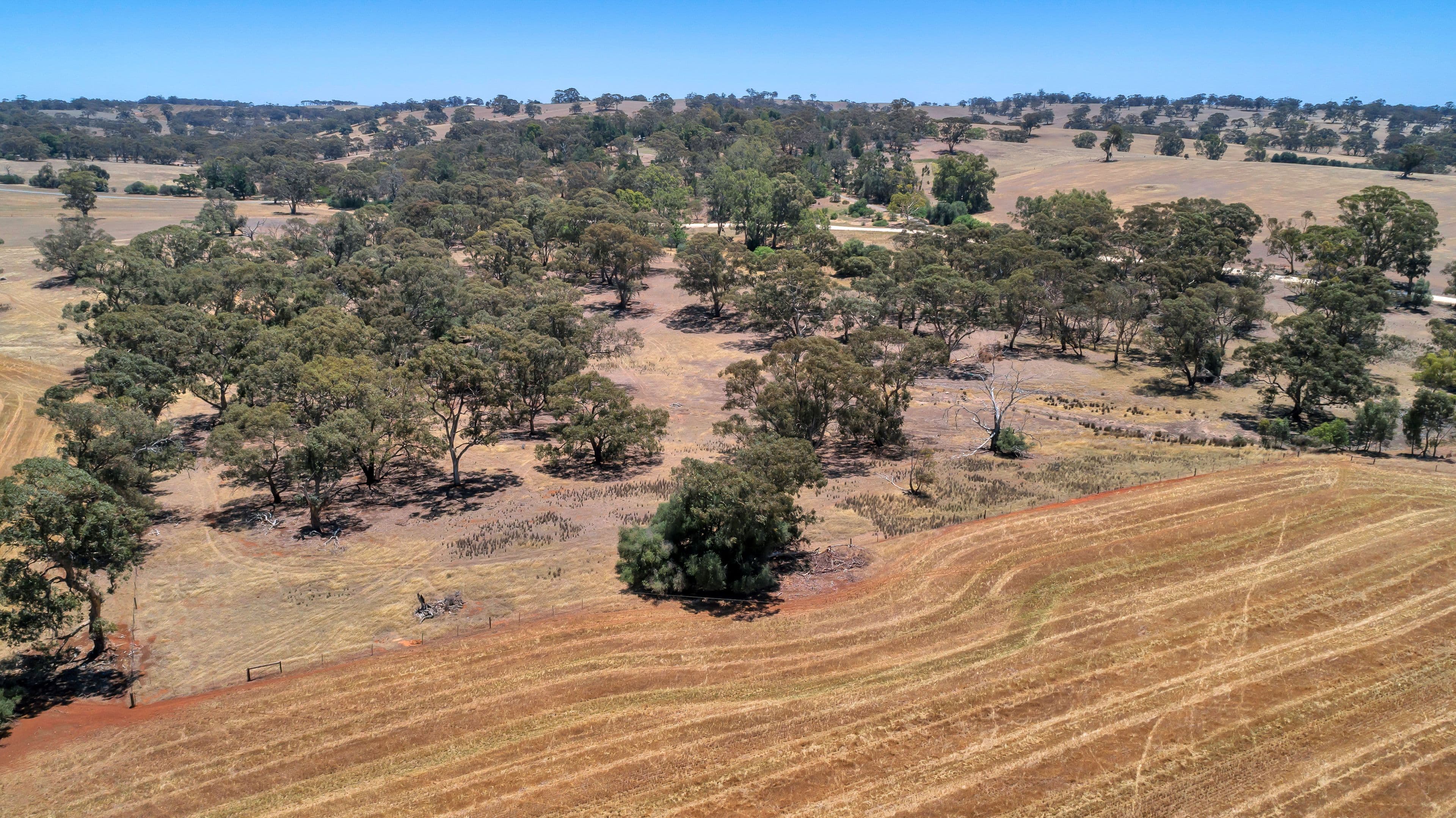 Lot 202 Avondale Road, Riverton SA 5412, Riverton - Thumbnail 2