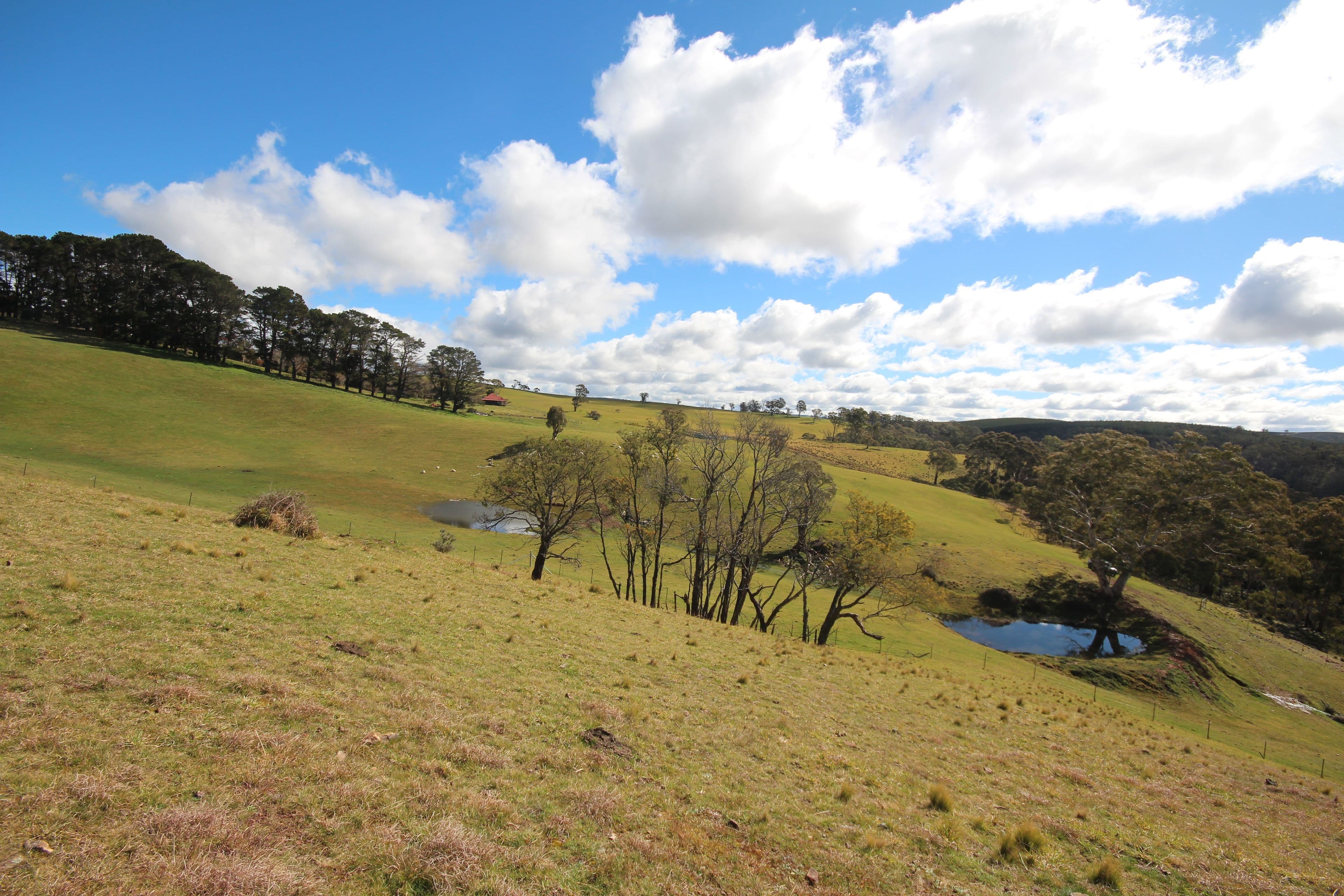 607 Jaunter Road, Oberon NSW 2787, Oberon - Thumbnail 8