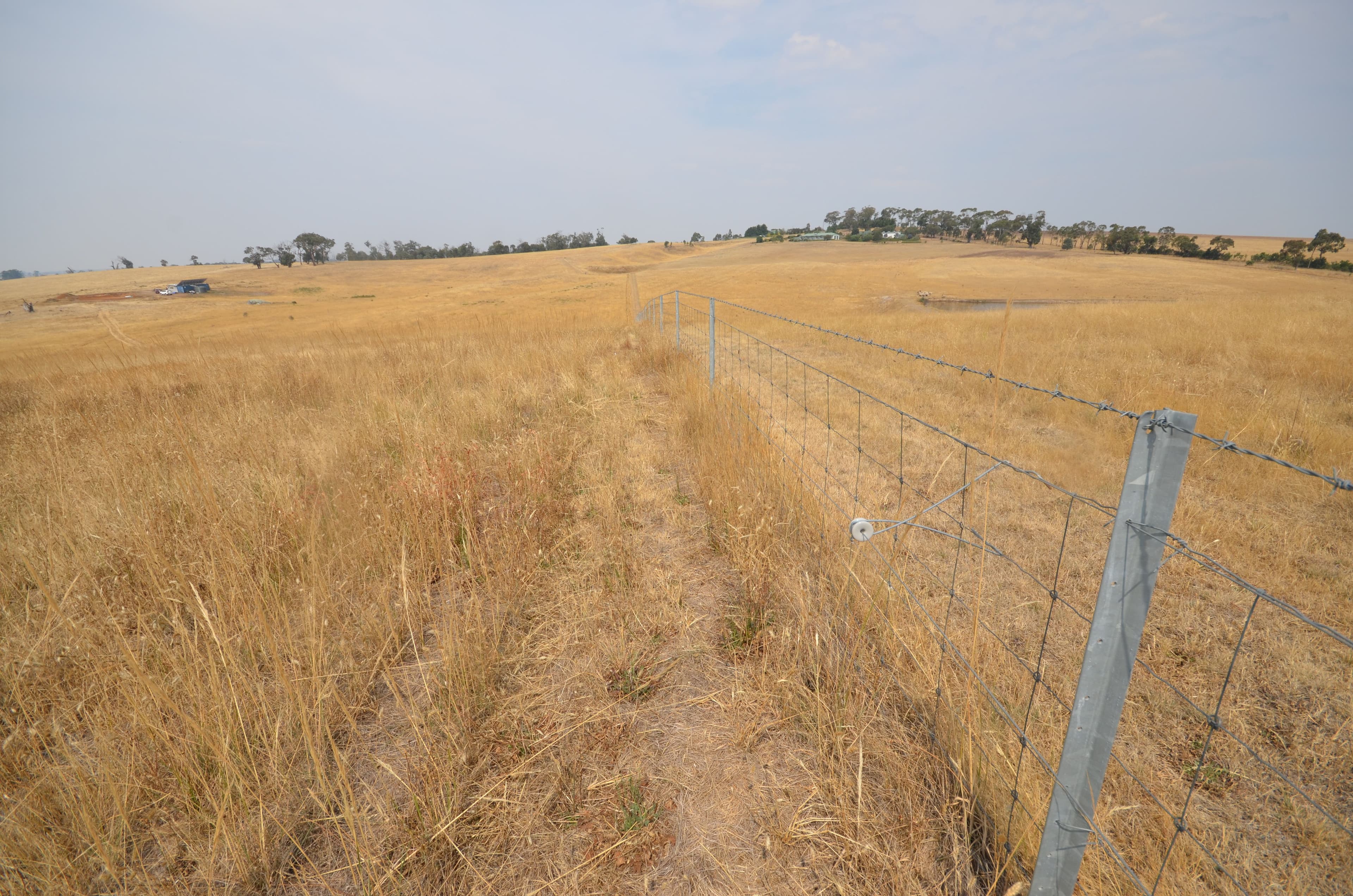 Lot 1 North South Road, Carngham  Victoria  3351, Australia, Carngham - Thumbnail 2