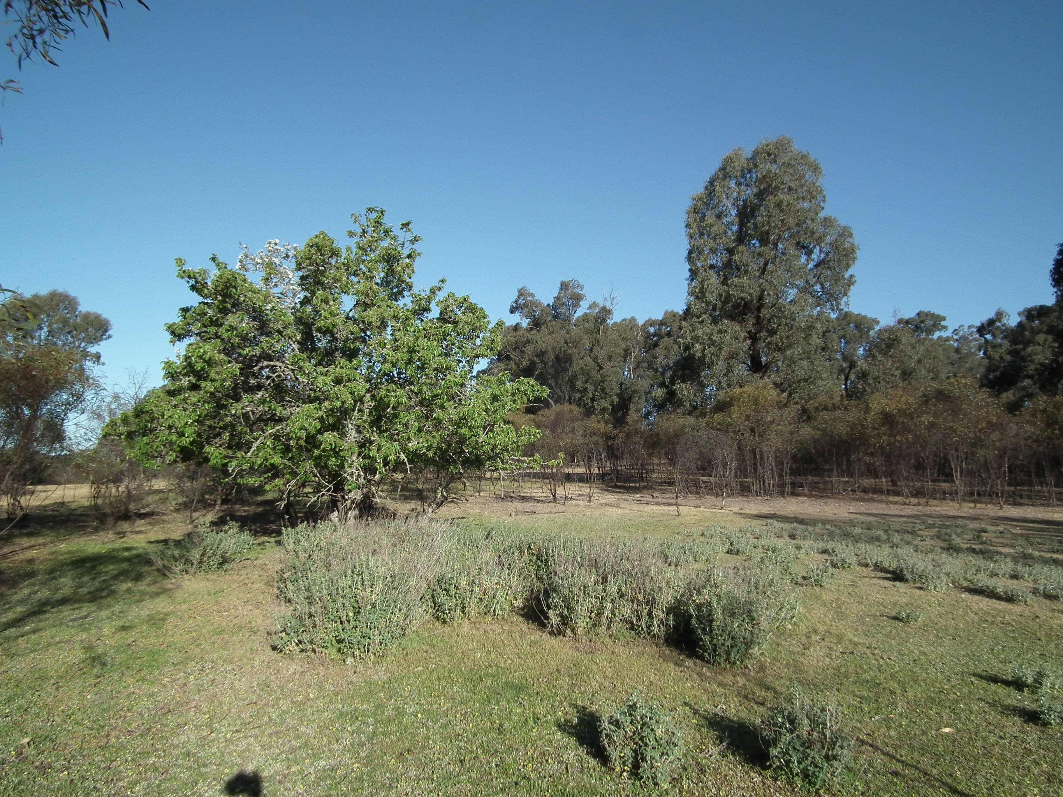 CA 30 Murchison-Whroo Road, Nagambie VIC 3608, Nagambie - Thumbnail 5