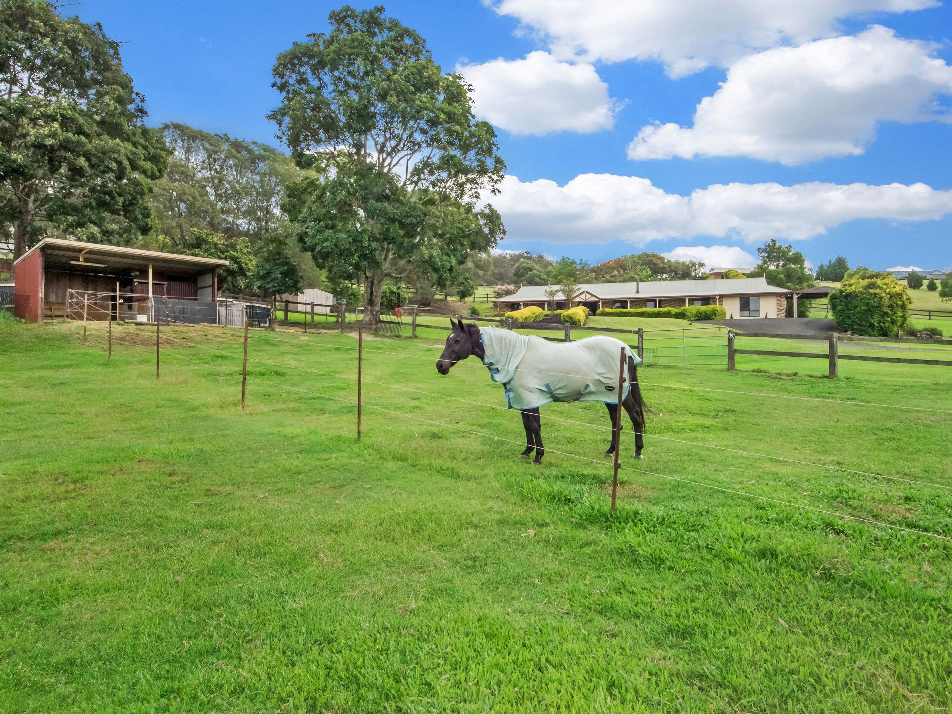 111 Gladrose Crescent, Wongawallan QLD 4210, Wongawallan - Thumbnail 4