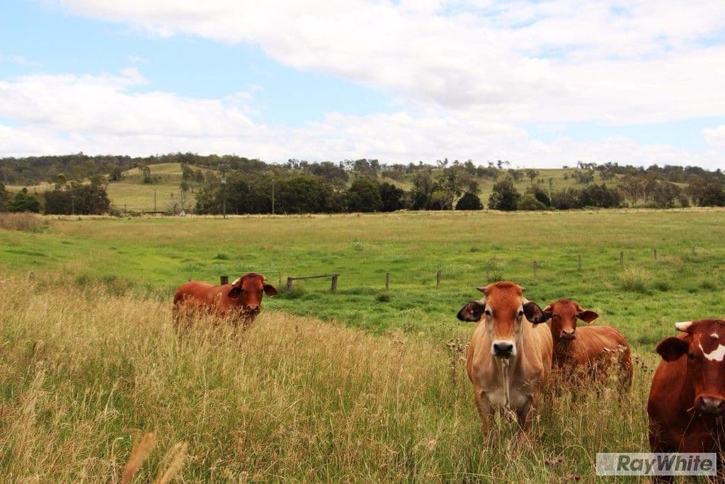 604 Running Creek Road, Running Creek QLD 4287, Running Creek - Image 1