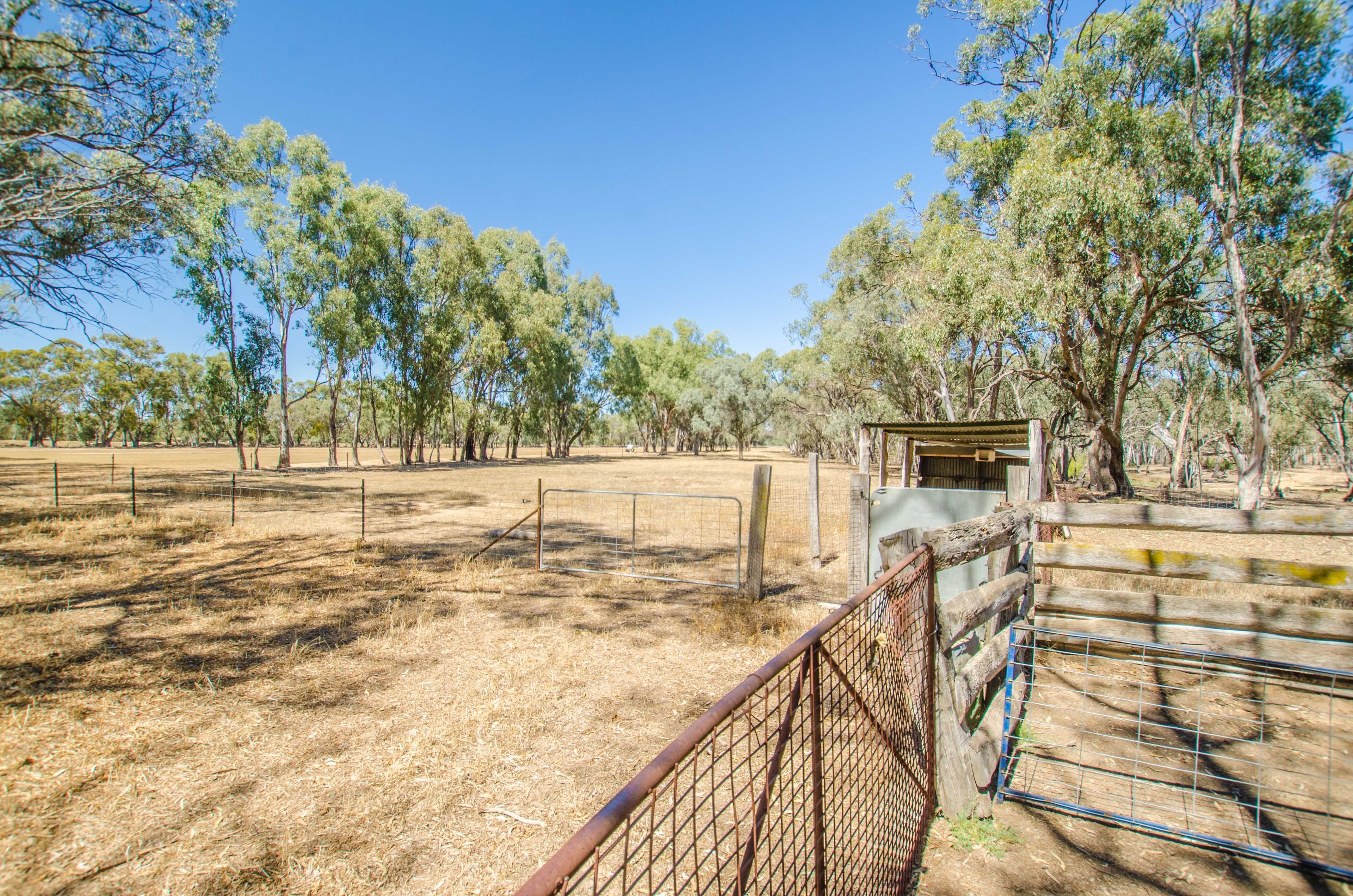 00 McKee Road, Echuca Village VIC 3564, Echuca Village - Thumbnail 5