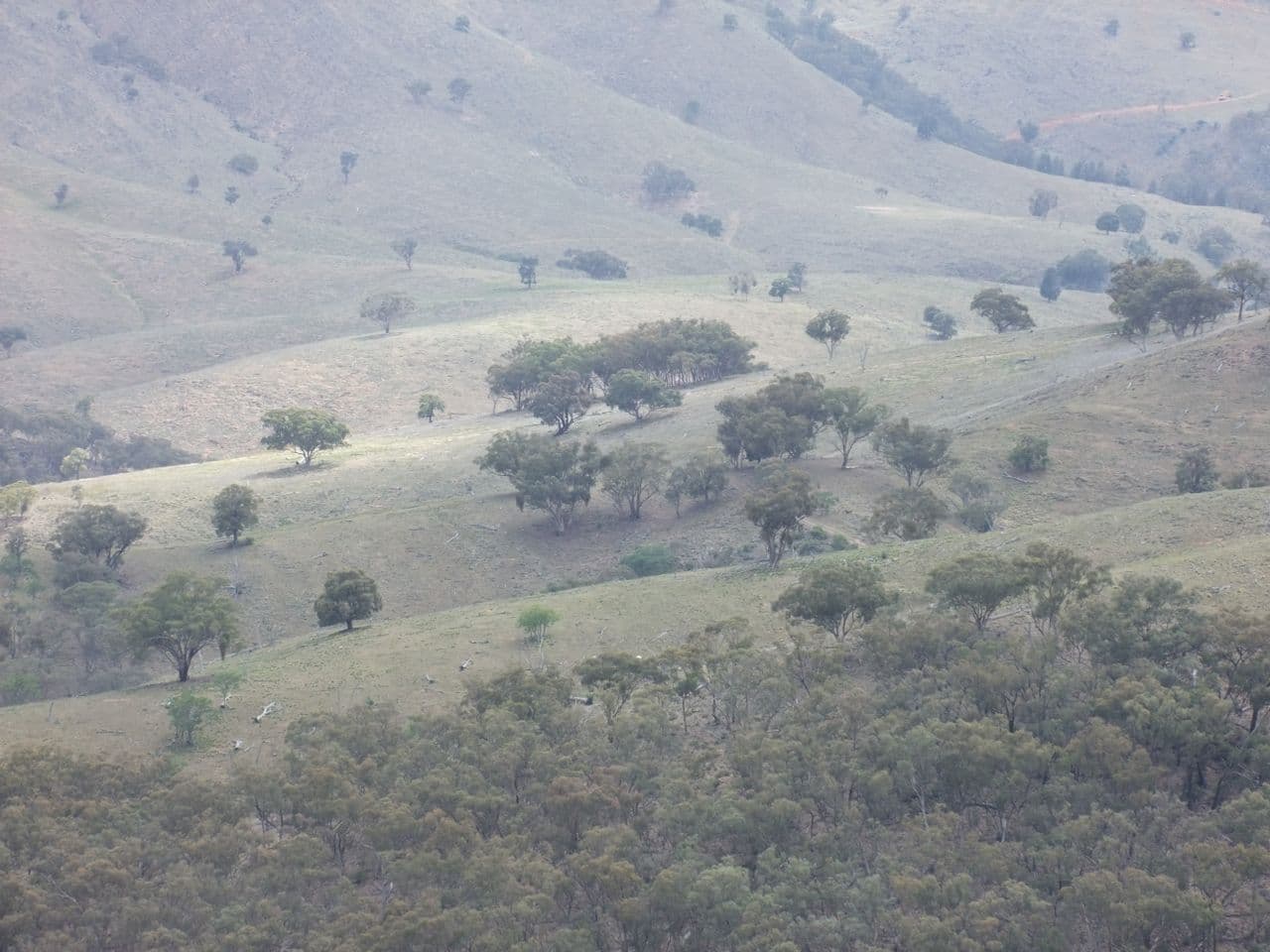 212 Quartz Ride Road, Turondale NSW 2795, Turondale - Thumbnail 4