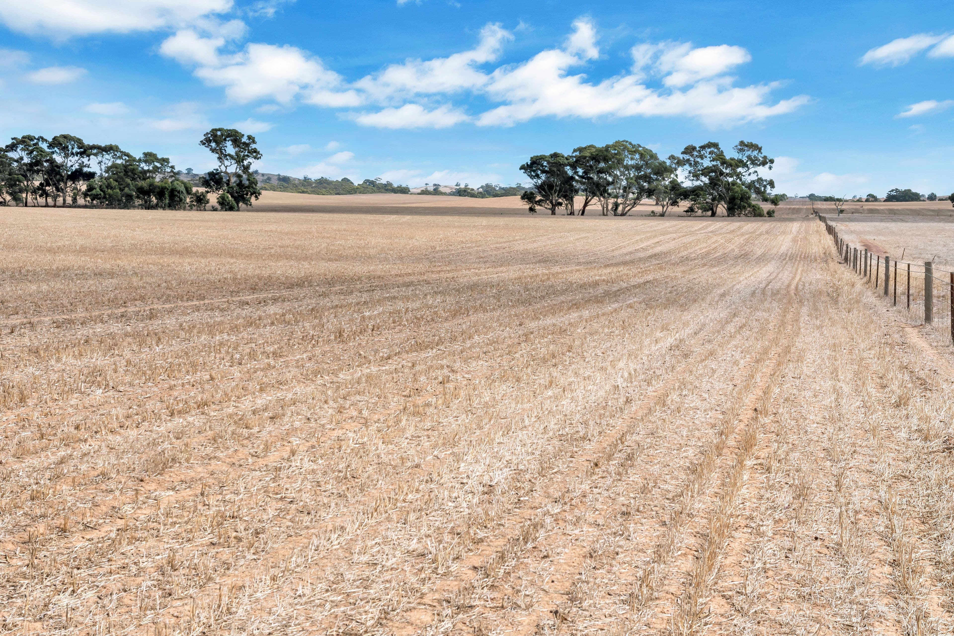 "Vingo's" Lot 57 Powerline South Road, Marrabel SA 5413, Marrabel - Thumbnail 6
