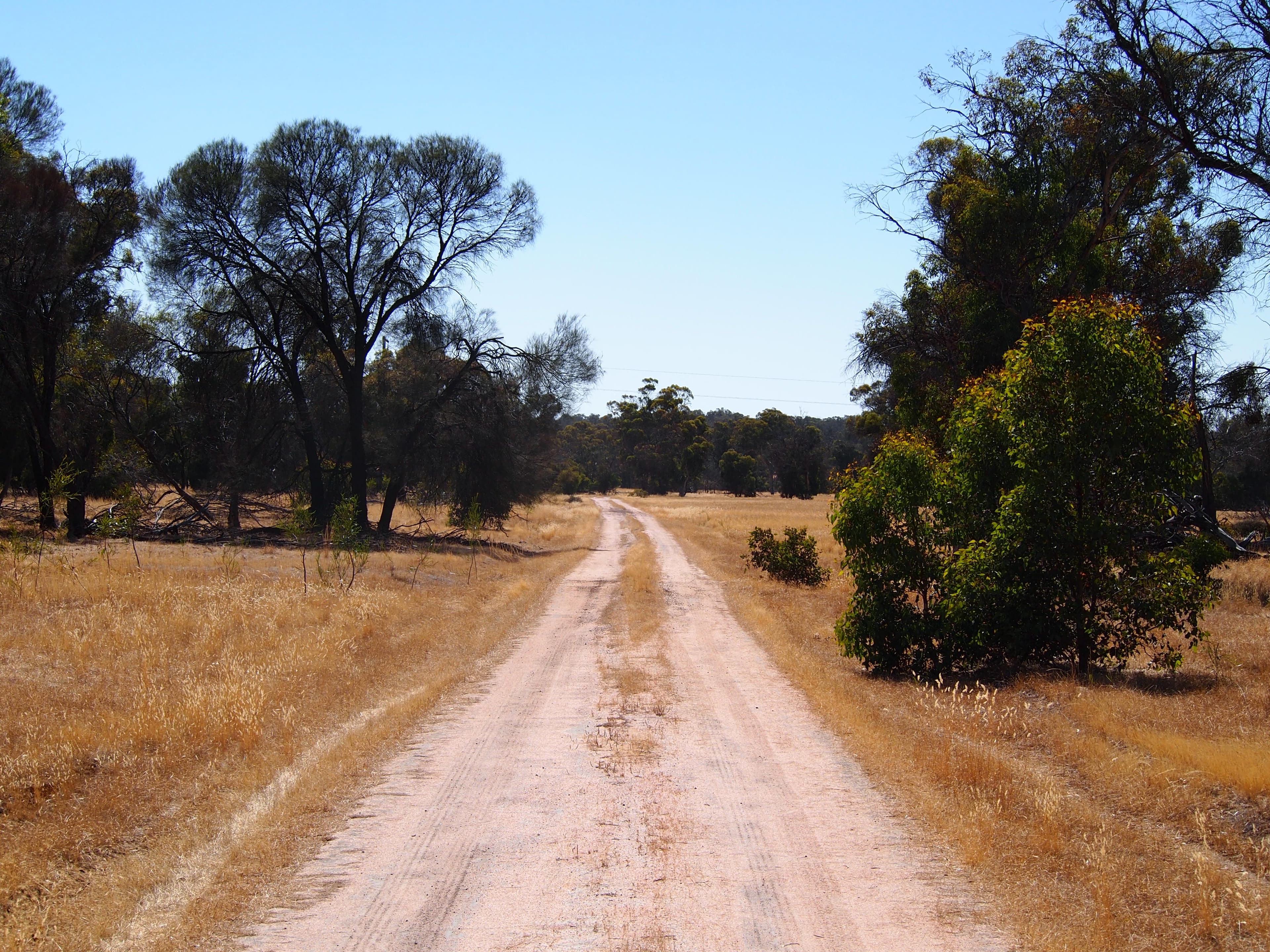 Muja Downs, Albany Highway, Beaufort River WA 6394, Beaufort River - Thumbnail 3