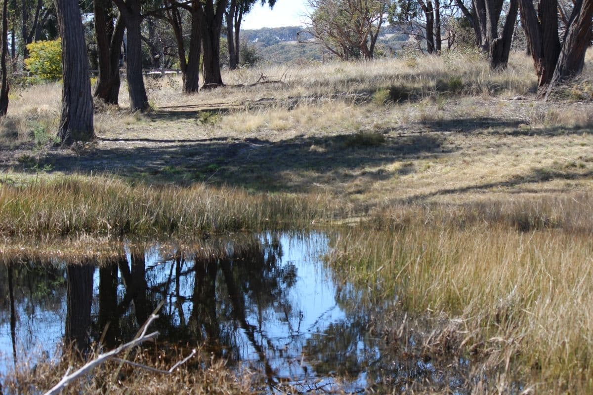 1929 O'Connell Road, O'Connell NSW 2795, O'Connell - Thumbnail 3