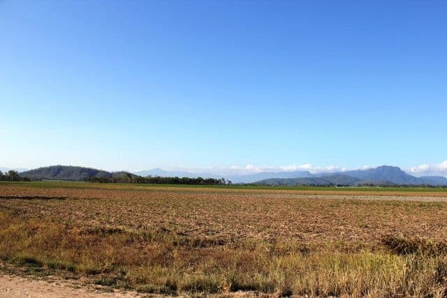 Lot 1 Scotts Road, Lannercost QLD 4850, Lannercost - Thumbnail 6