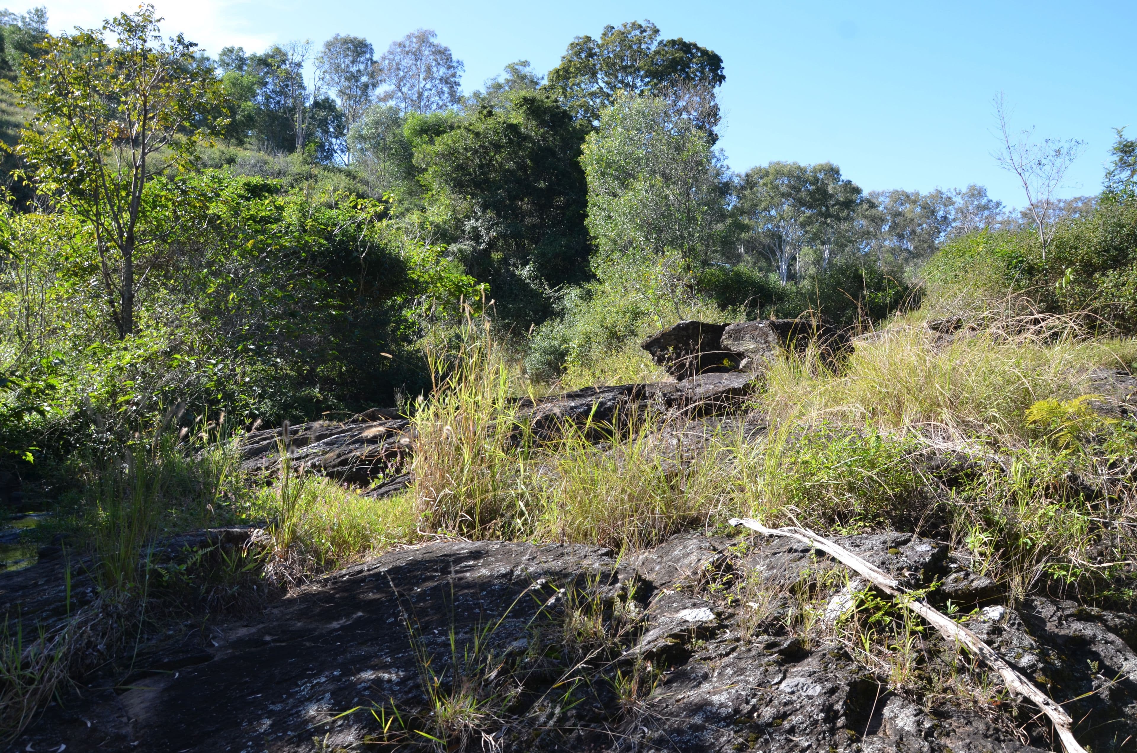 Rush Creek QLD 4521, Rush Creek - Thumbnail 4
