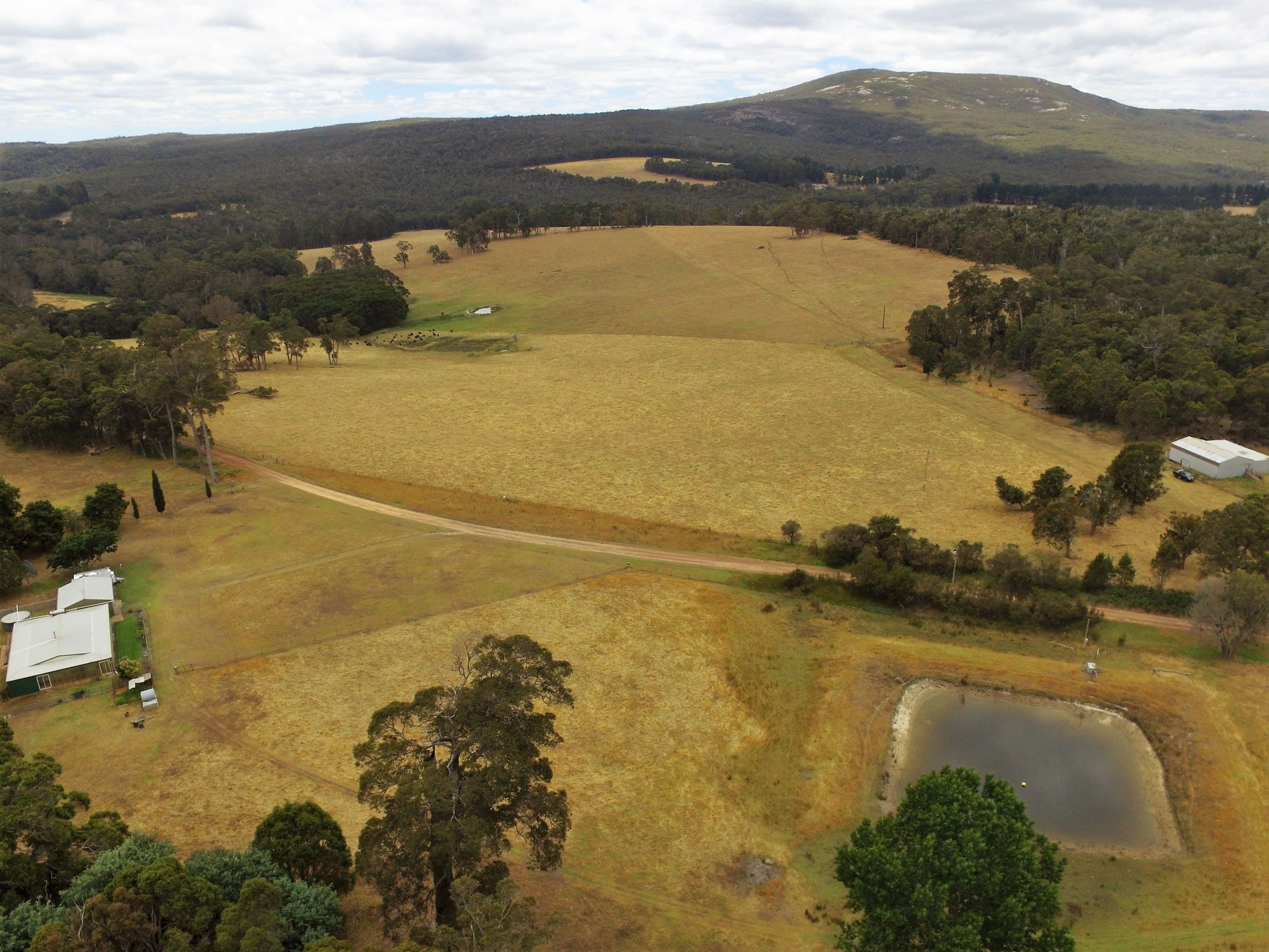 53 McNess Road, Denmark WA 6333, Denmark - Image 1
