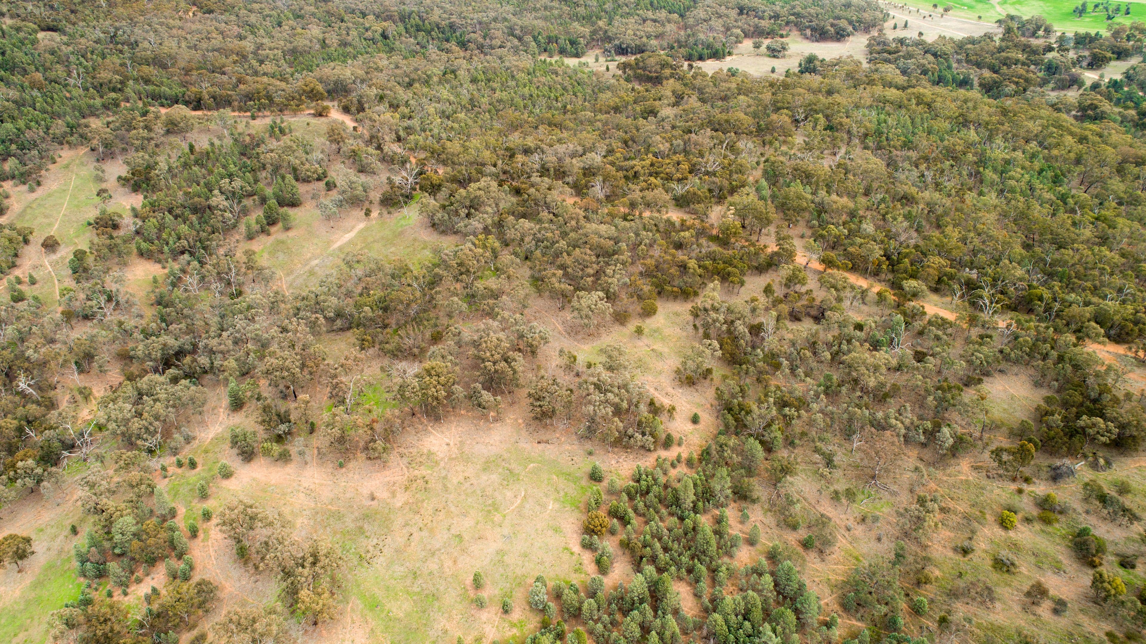 192 Roach Road, Moorong NSW 2650, Moorong - Thumbnail 5