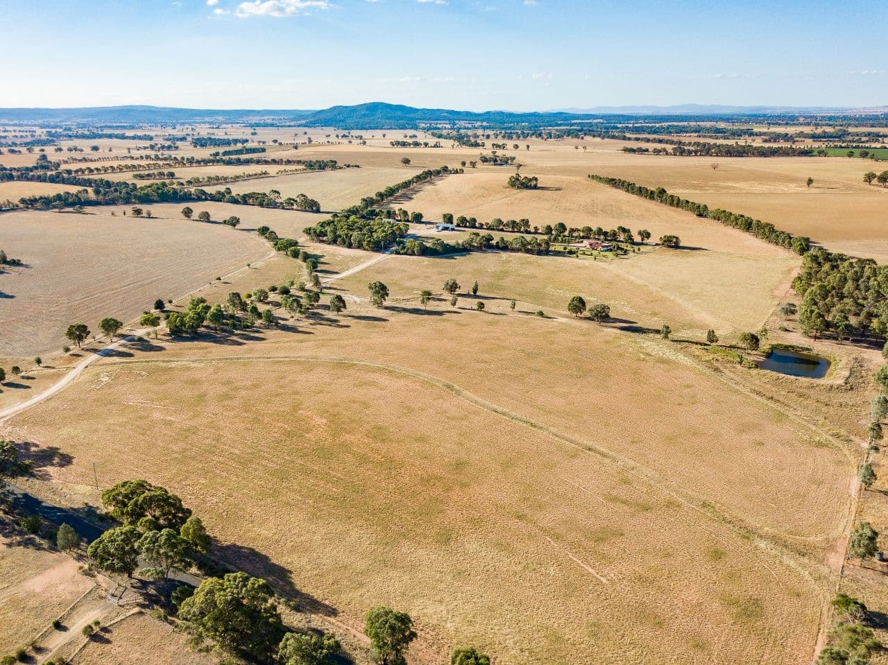 170 Barrs Road, Cowra NSW 2794, Cowra - Thumbnail 4