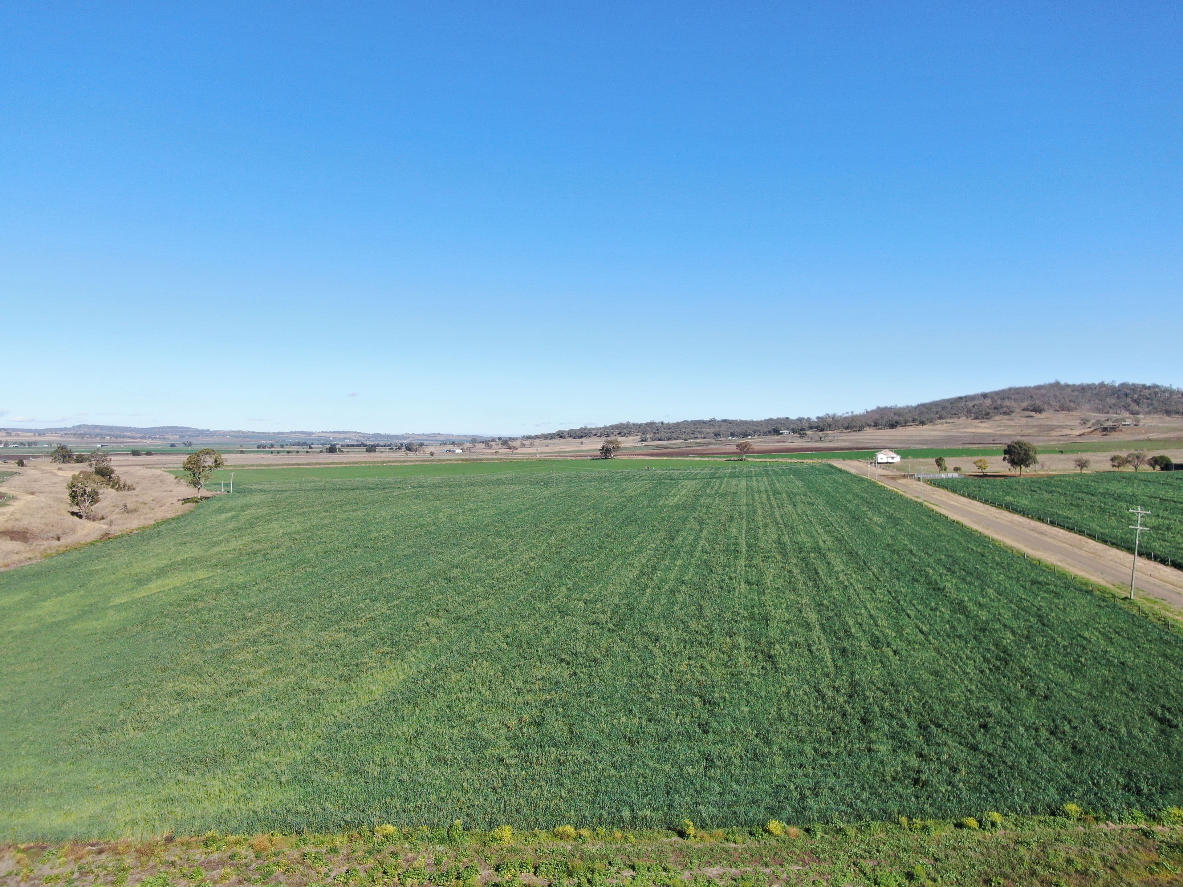 Lot 26 Doyles Road, Clintonvale QLD 4370, Clintonvale - Thumbnail 8
