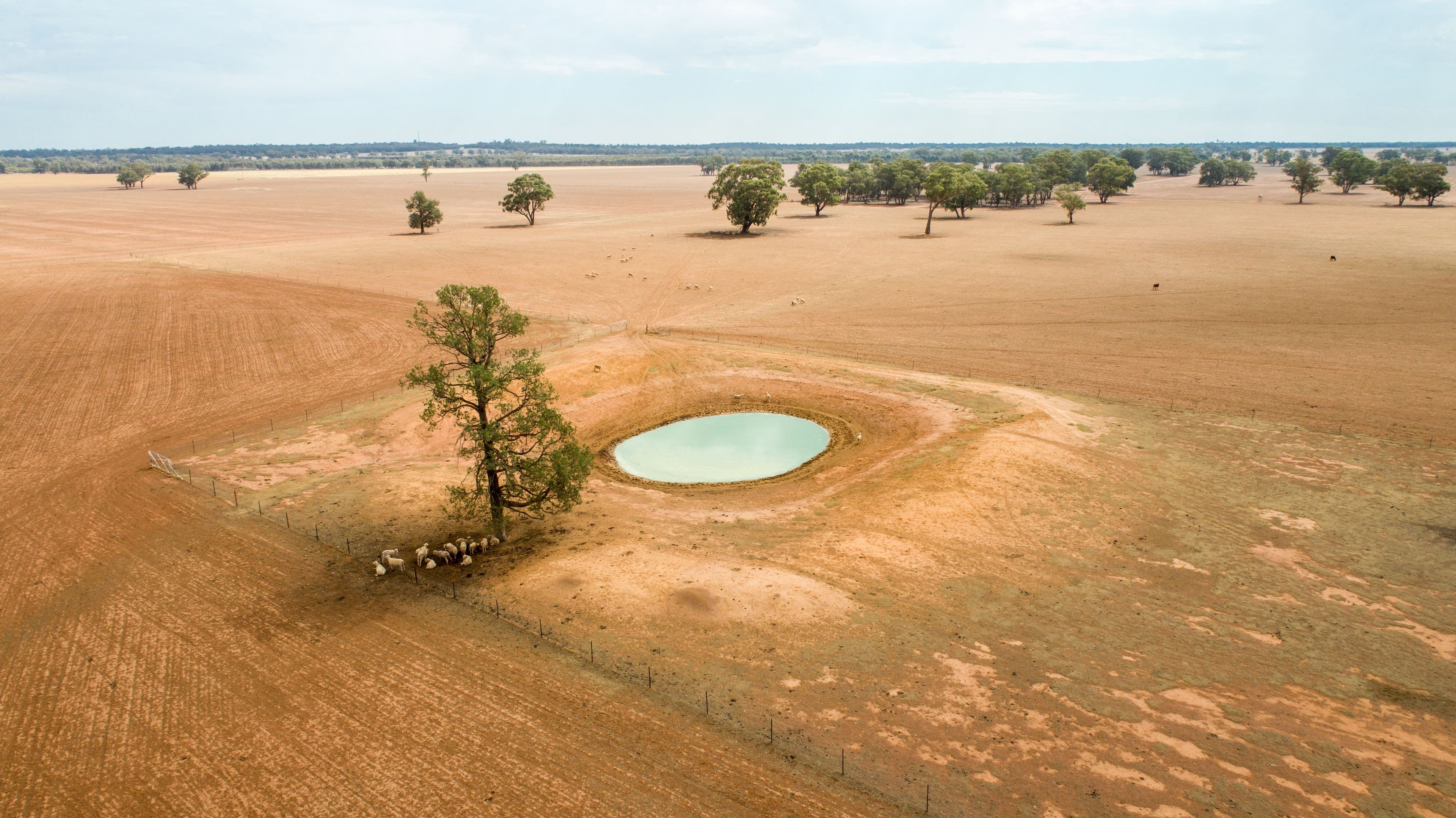 Coolamon NSW 2701, Coolamon - Thumbnail 5