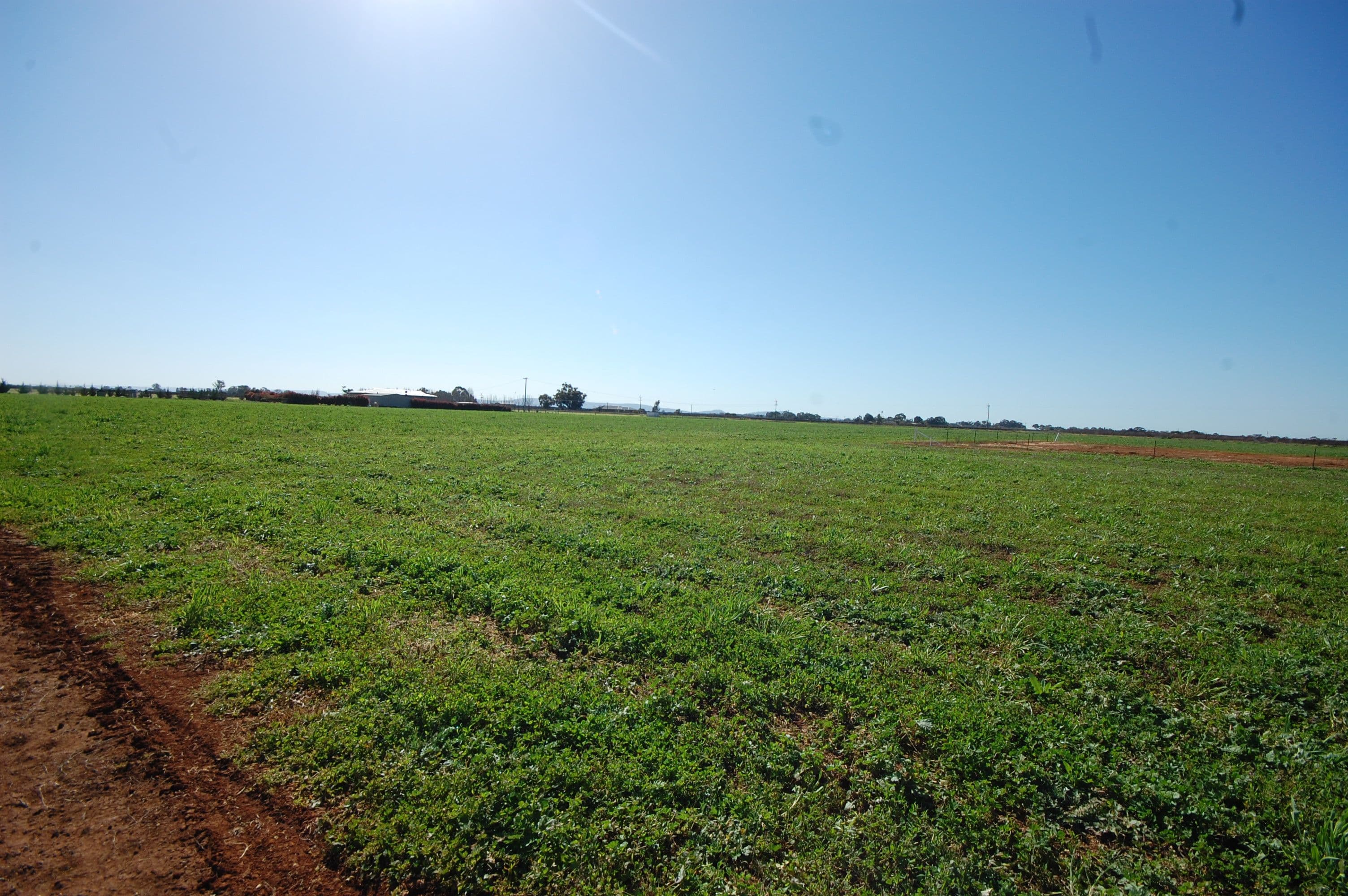 Farm 89A Moseley Road, Bilbul NSW 2680, Bilbul - Thumbnail 5