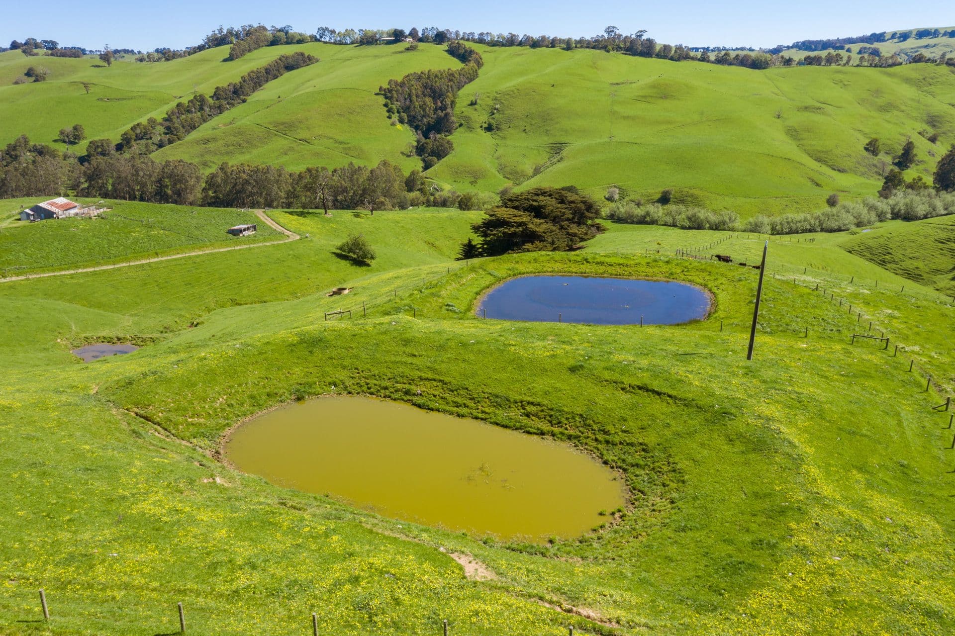 156 Fitzgeralds Road, Arawata VIC 3951, Arawata - Thumbnail 4