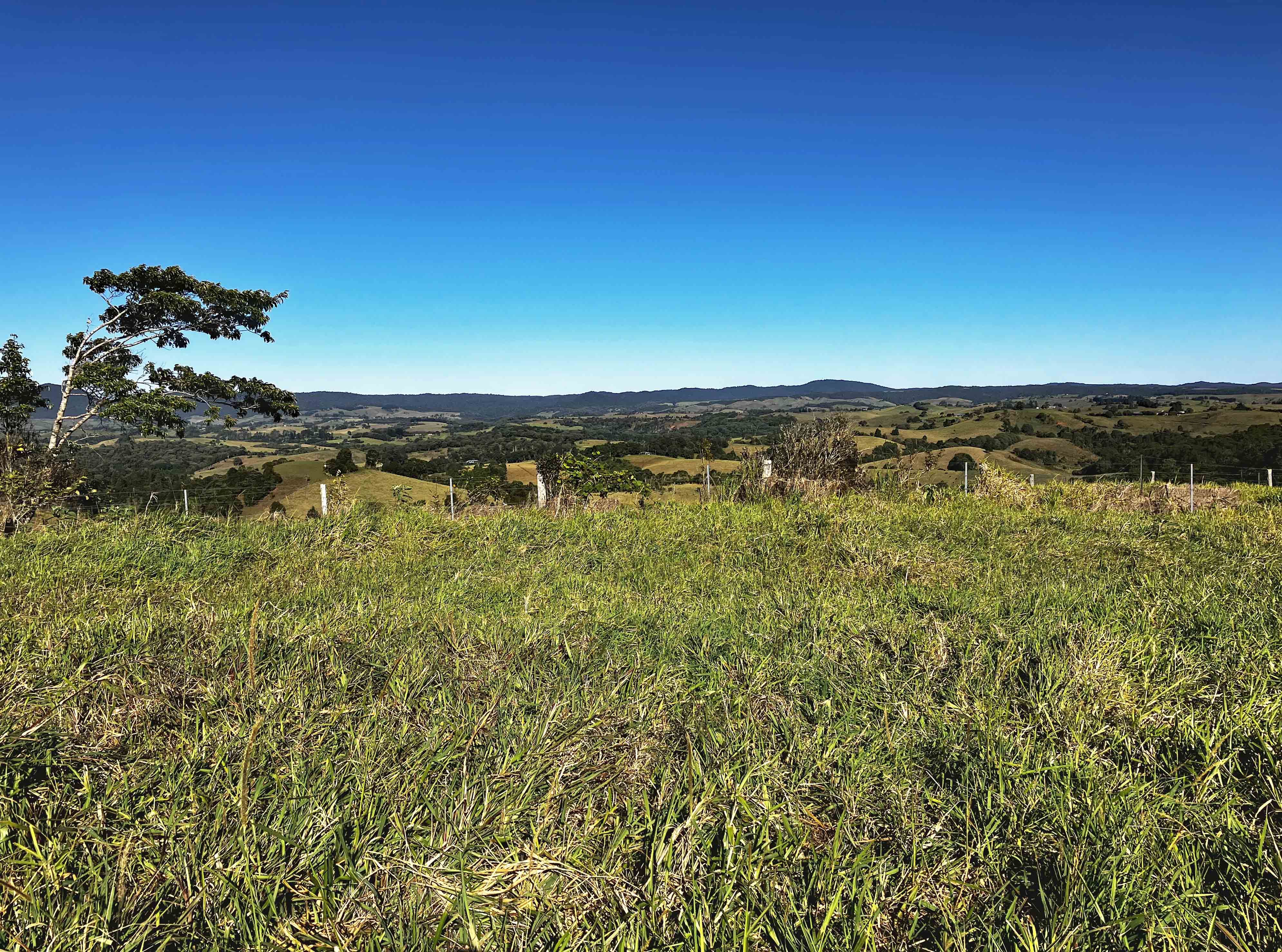 Tarzali QLD 4885, Tarzali - Thumbnail 5