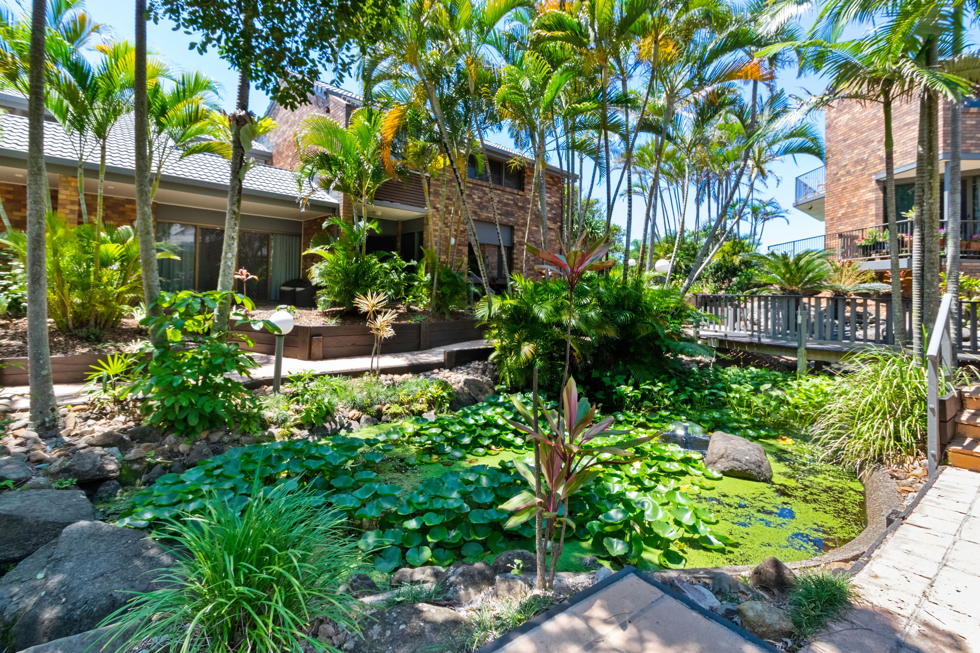388 David Low Way, Peregian Beach QLD 4573, Peregian Beach - Thumbnail 2