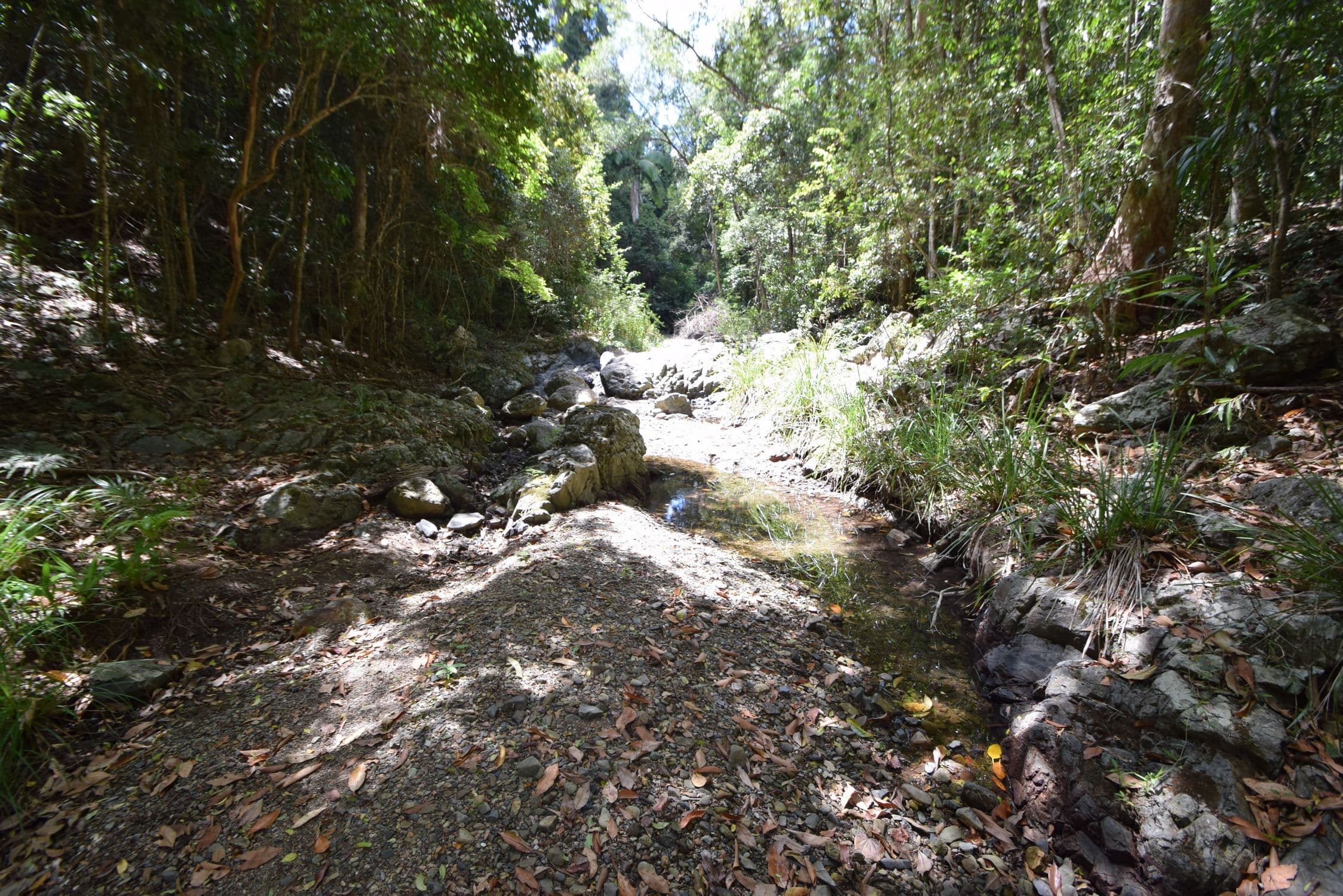 1966 Mount Byron Road, Mount Byron QLD 4312, Mount Byron - Thumbnail 4