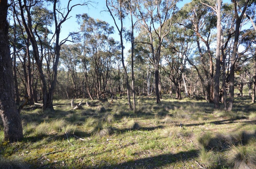 CA 8 Armstrong Lane, WATERLOO VIC 3373, Waterloo - Thumbnail 5