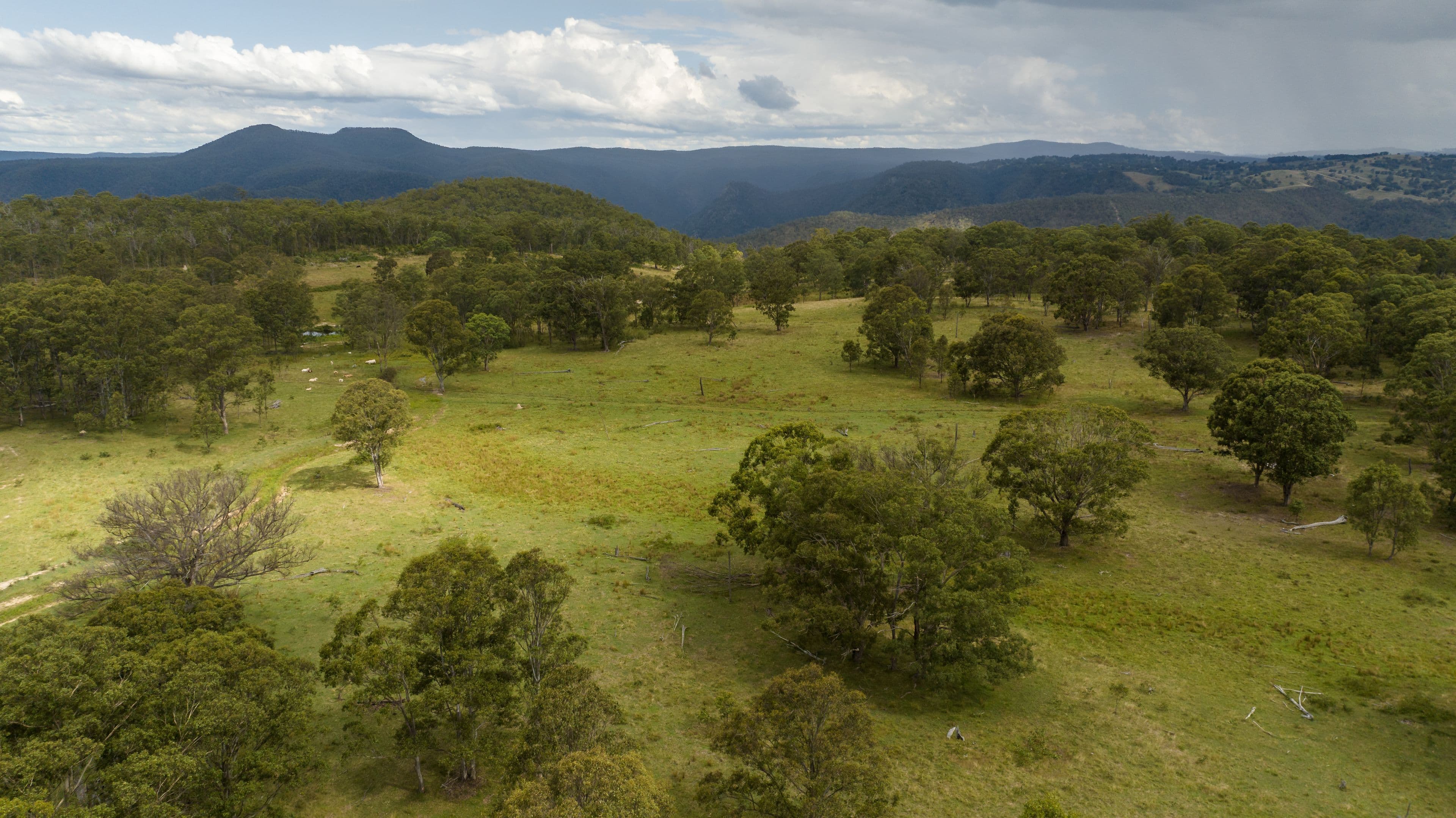 527 Melrose Road, Armidale NSW 2350, Armidale - Thumbnail 2