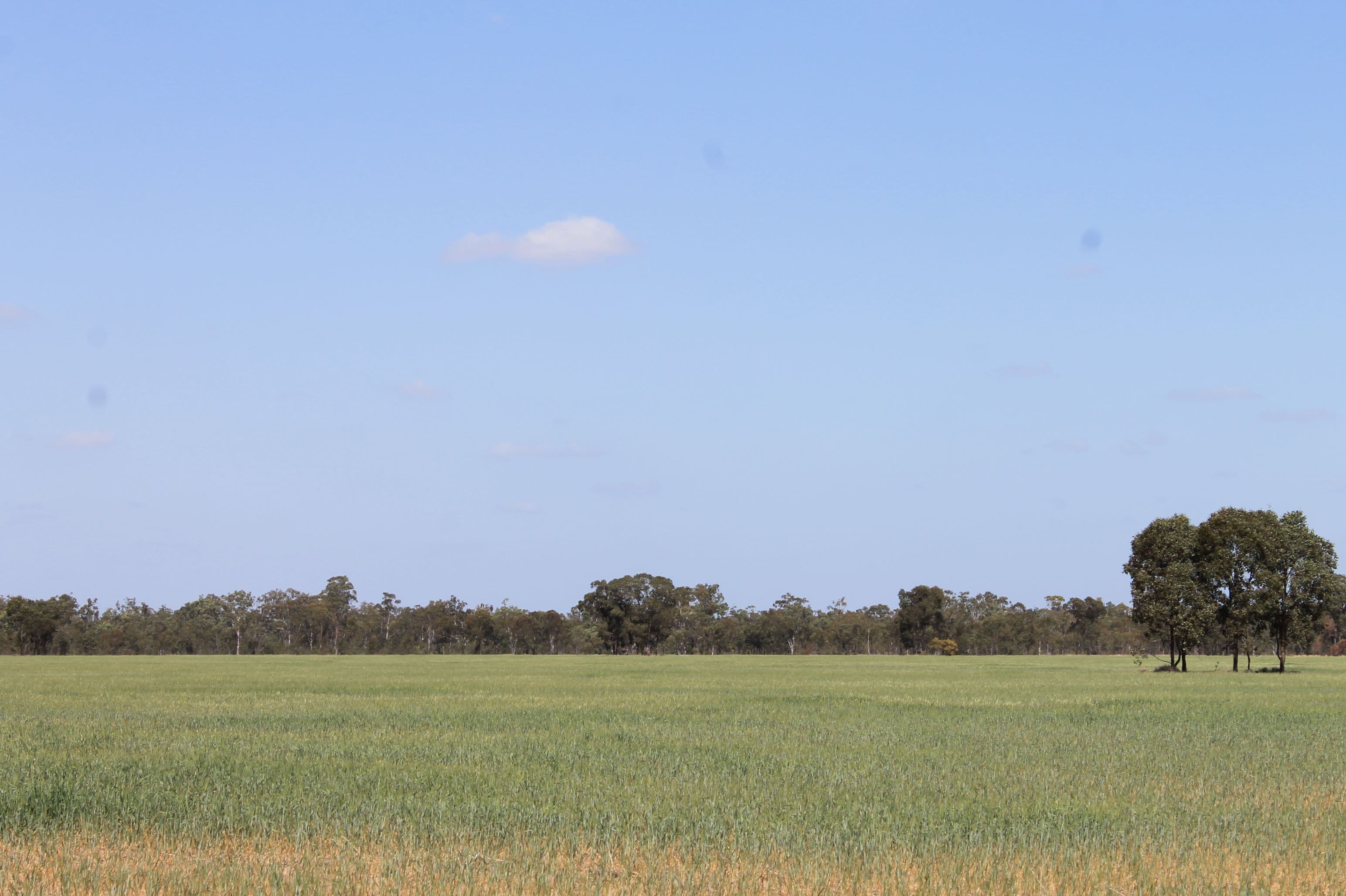 . Millmerran-Cecil Plains Road, Cecil Plains QLD 4407, Cecil Plains - Thumbnail 8