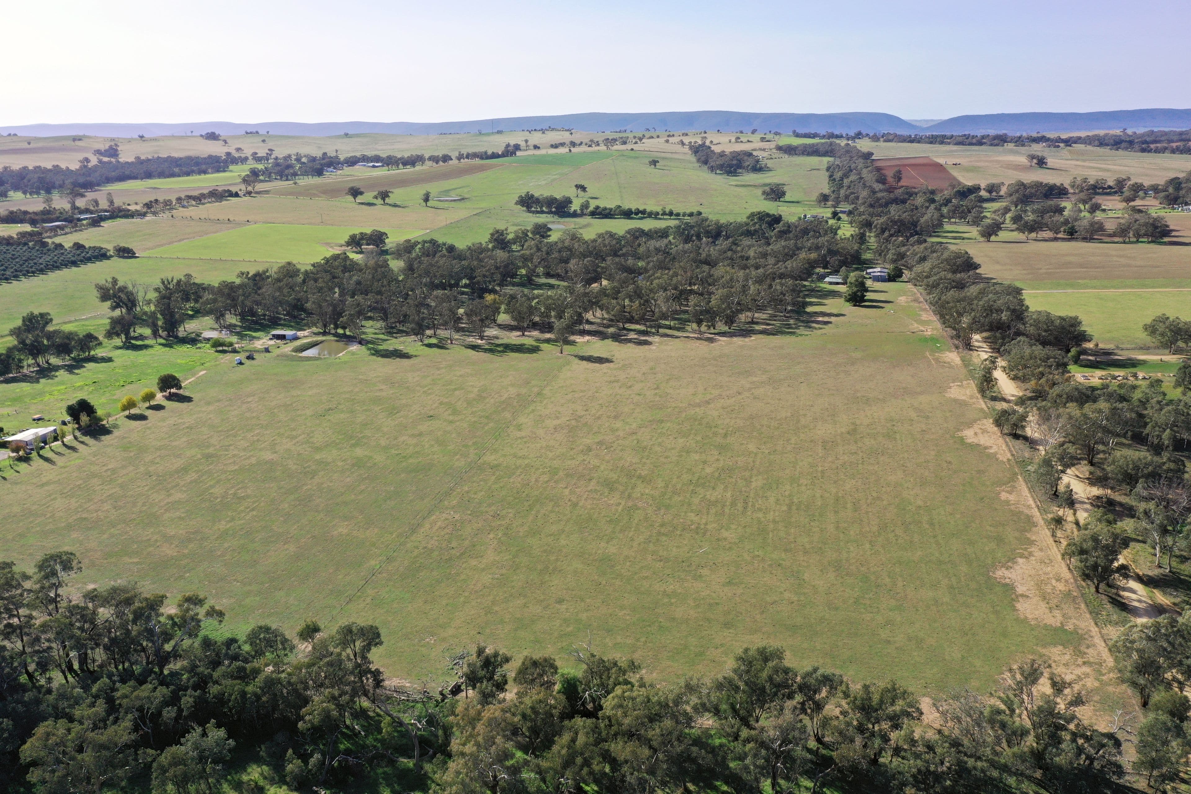 51 Sads Lane, Young NSW 2594, Young - Image 1