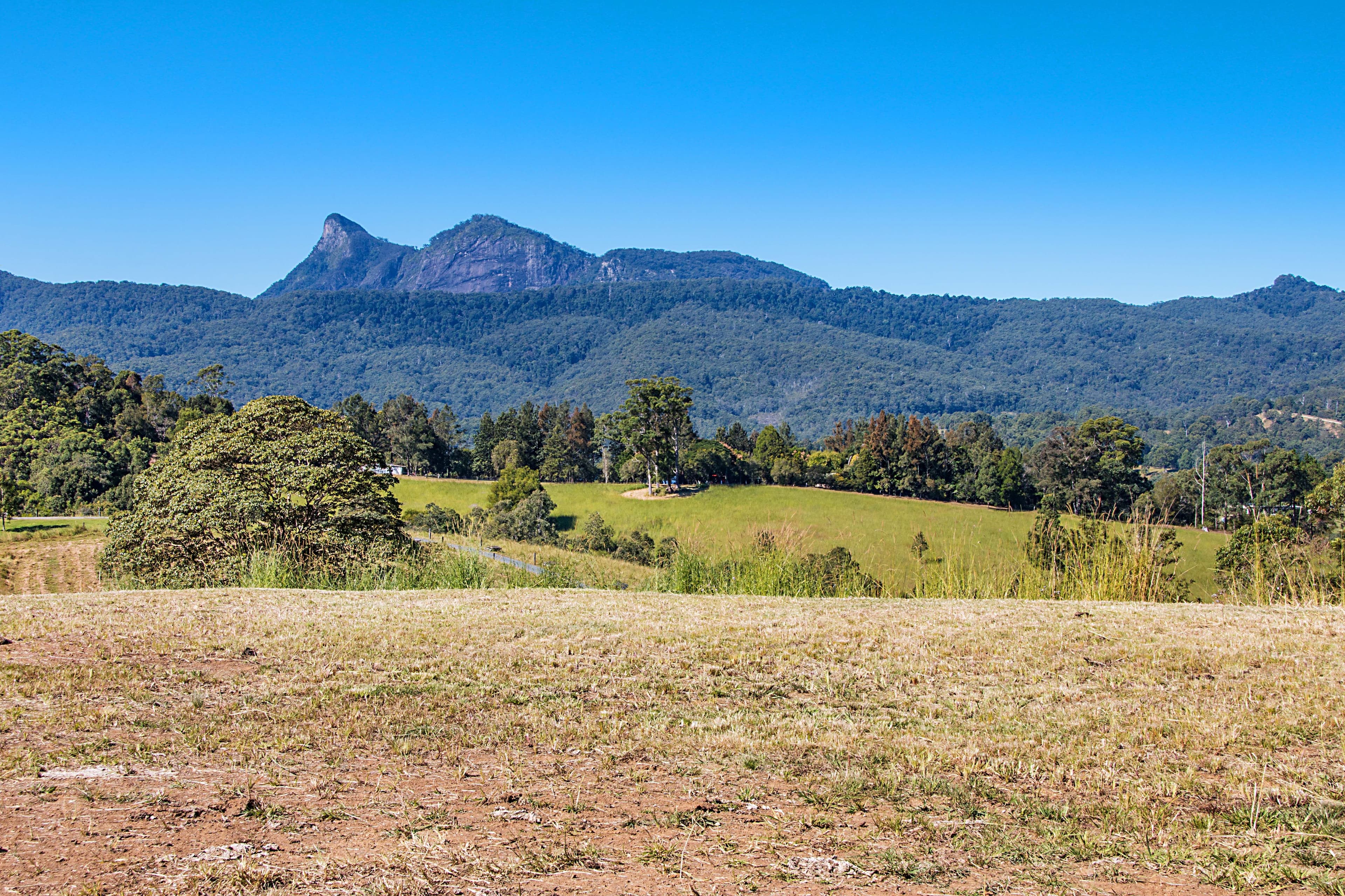 47 Possumwood Close, Tyalgum NSW 2484, Tyalgum - Thumbnail 2