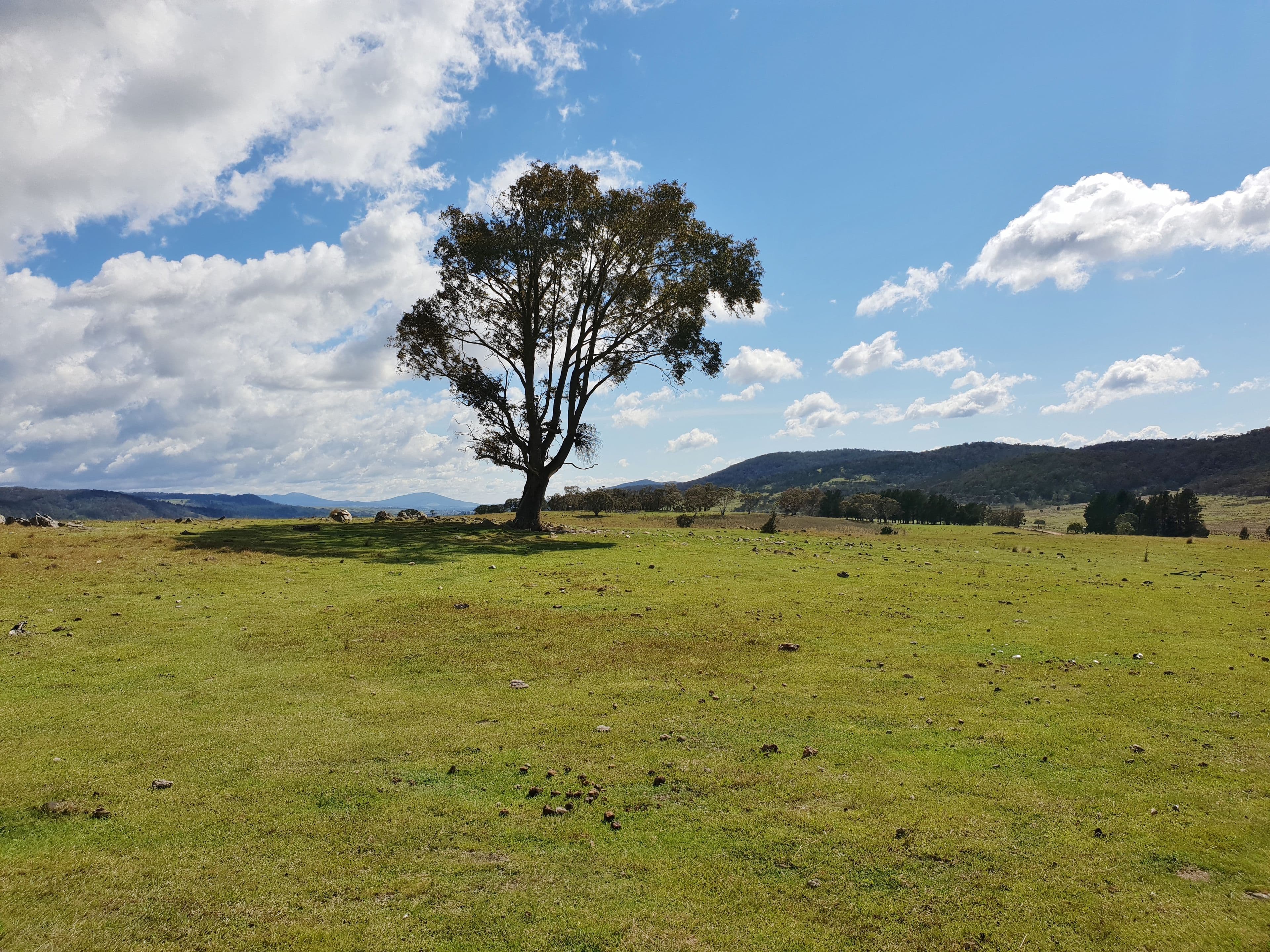 111 Hereford Hall Road, Hereford Hall, Braidwood NSW 2622, Braidwood - Thumbnail 2