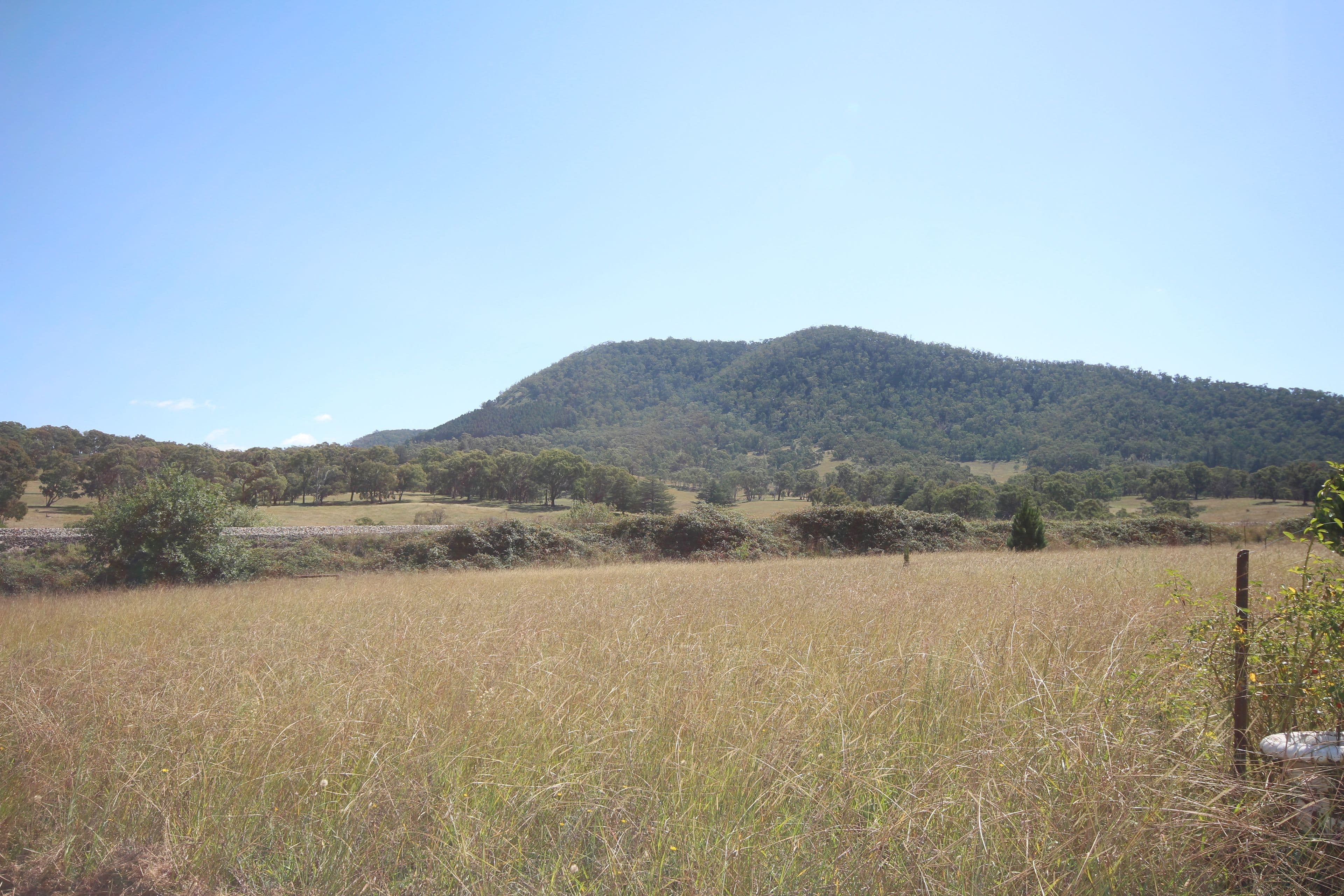 2913 Tarana Road, Tarana NSW 2787, Tarana - Thumbnail 8