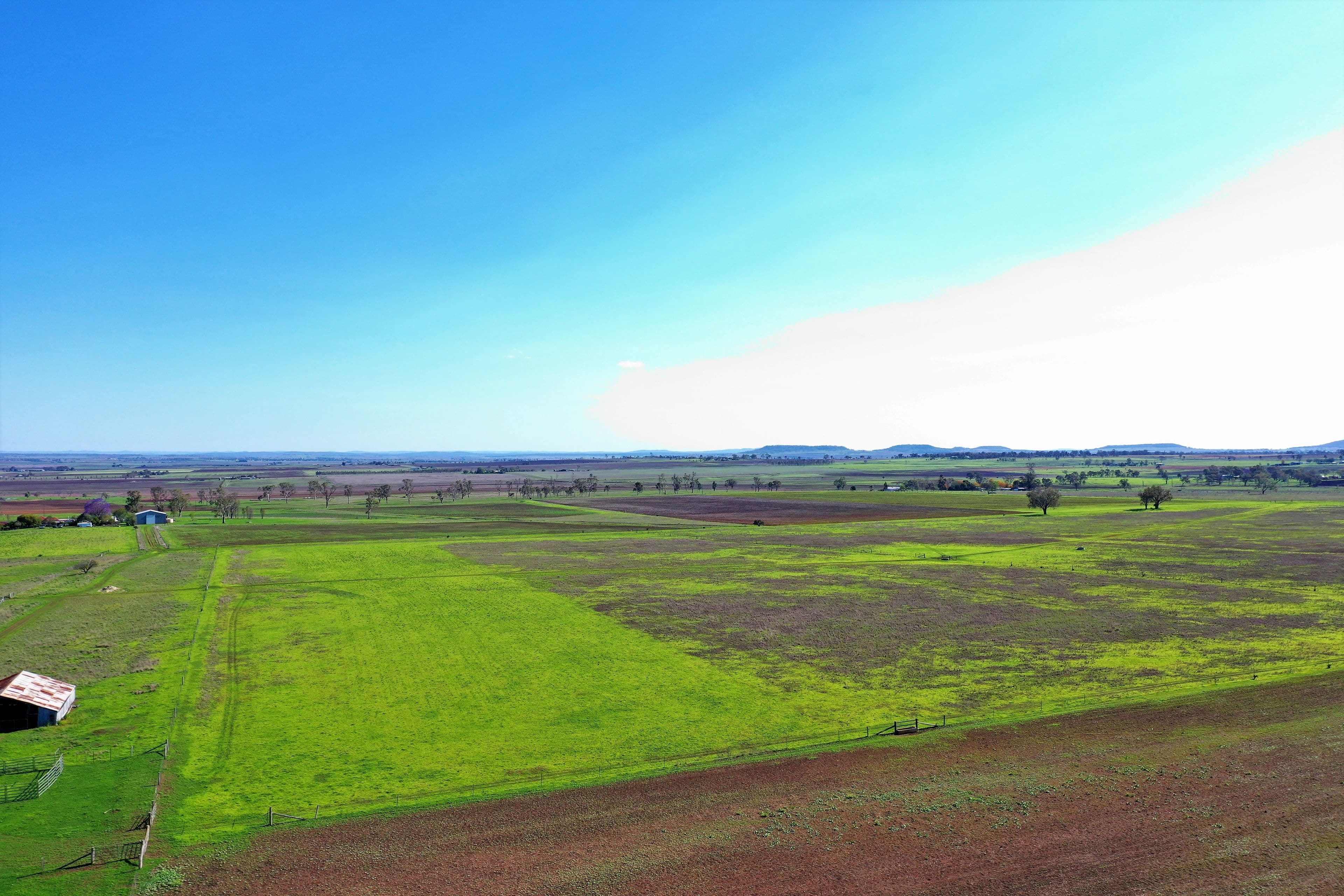 164 Palmer Road, NOBBY QLD 4360, Nobby - Image 1