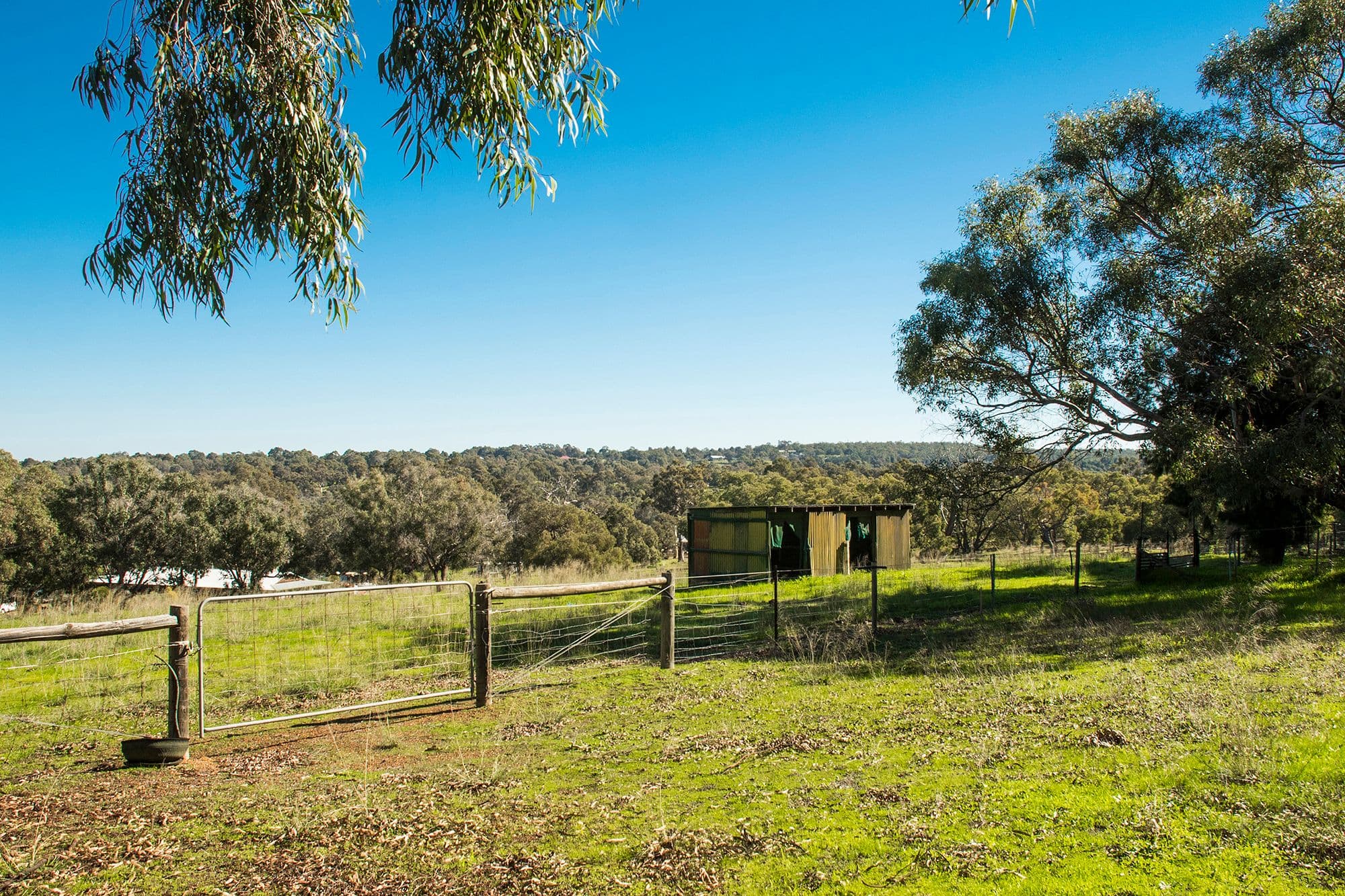 75 Ridgewood Loop, Bullsbrook WA 6084, Bullsbrook - Thumbnail 2
