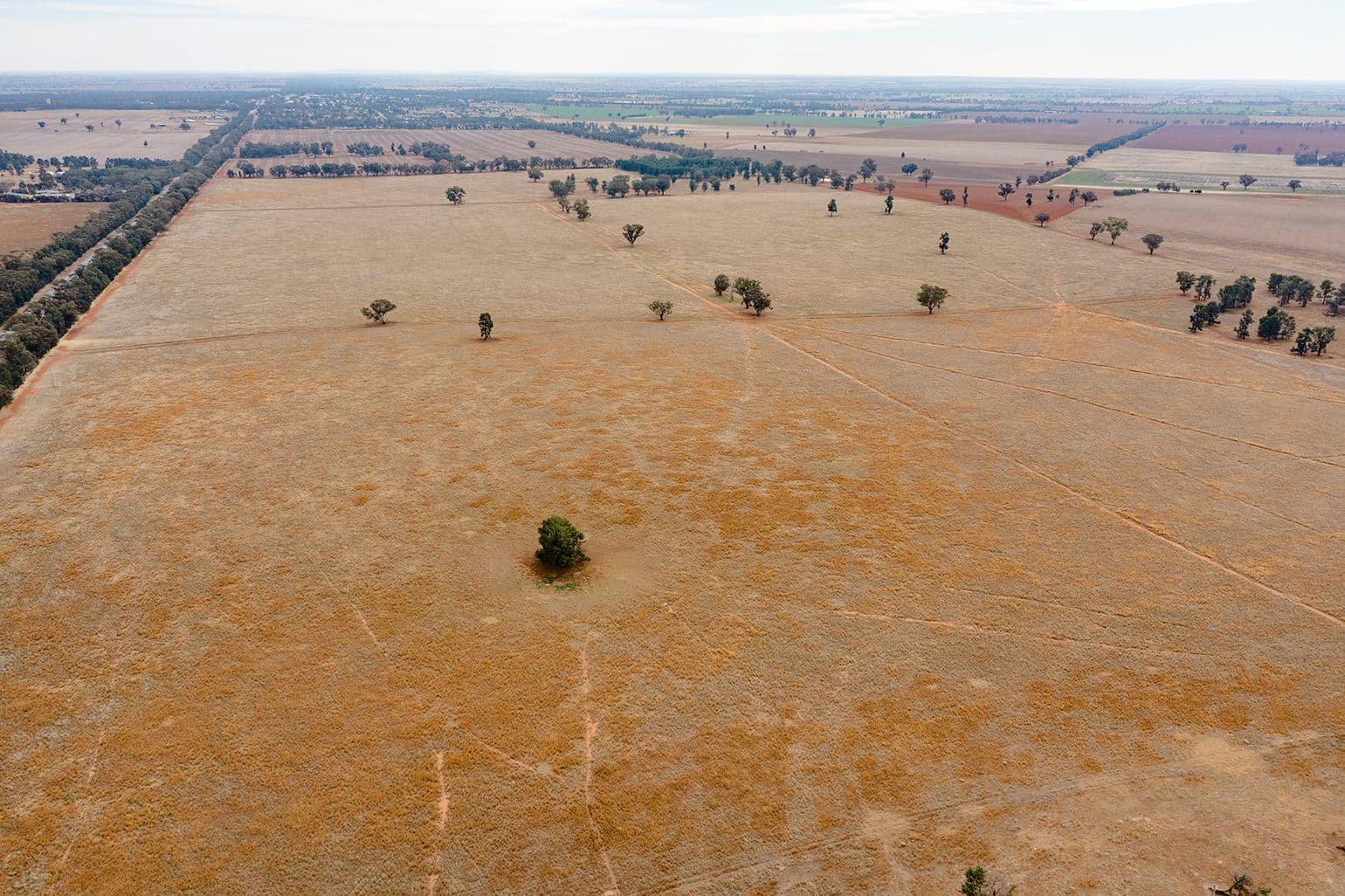O'briens Coolamon Road, Coolamon NSW 2701, Coolamon - Thumbnail 5