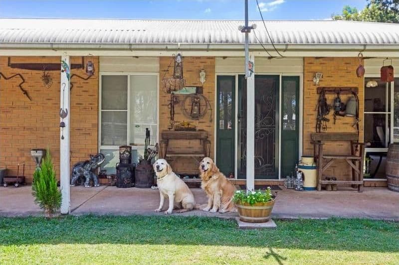 44 Josephfina Court, Logan Reserve QLD 4133, Logan Reserve - Thumbnail 2