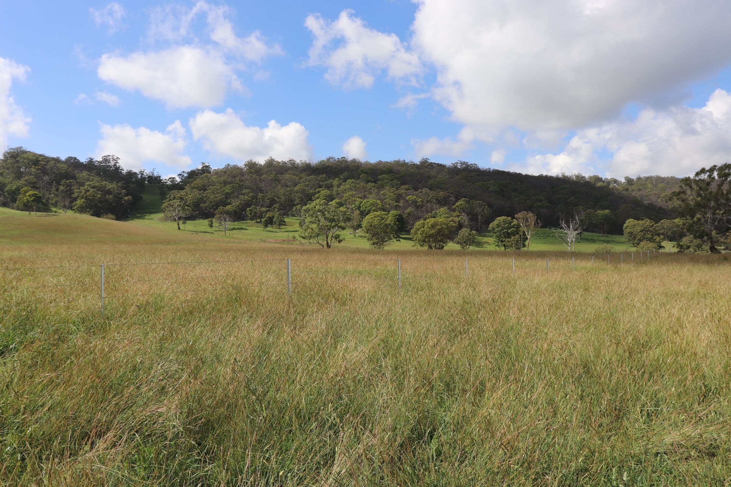 290 Blue Hills Road, Glen Innes NSW 2370, Glen Innes - Thumbnail 4