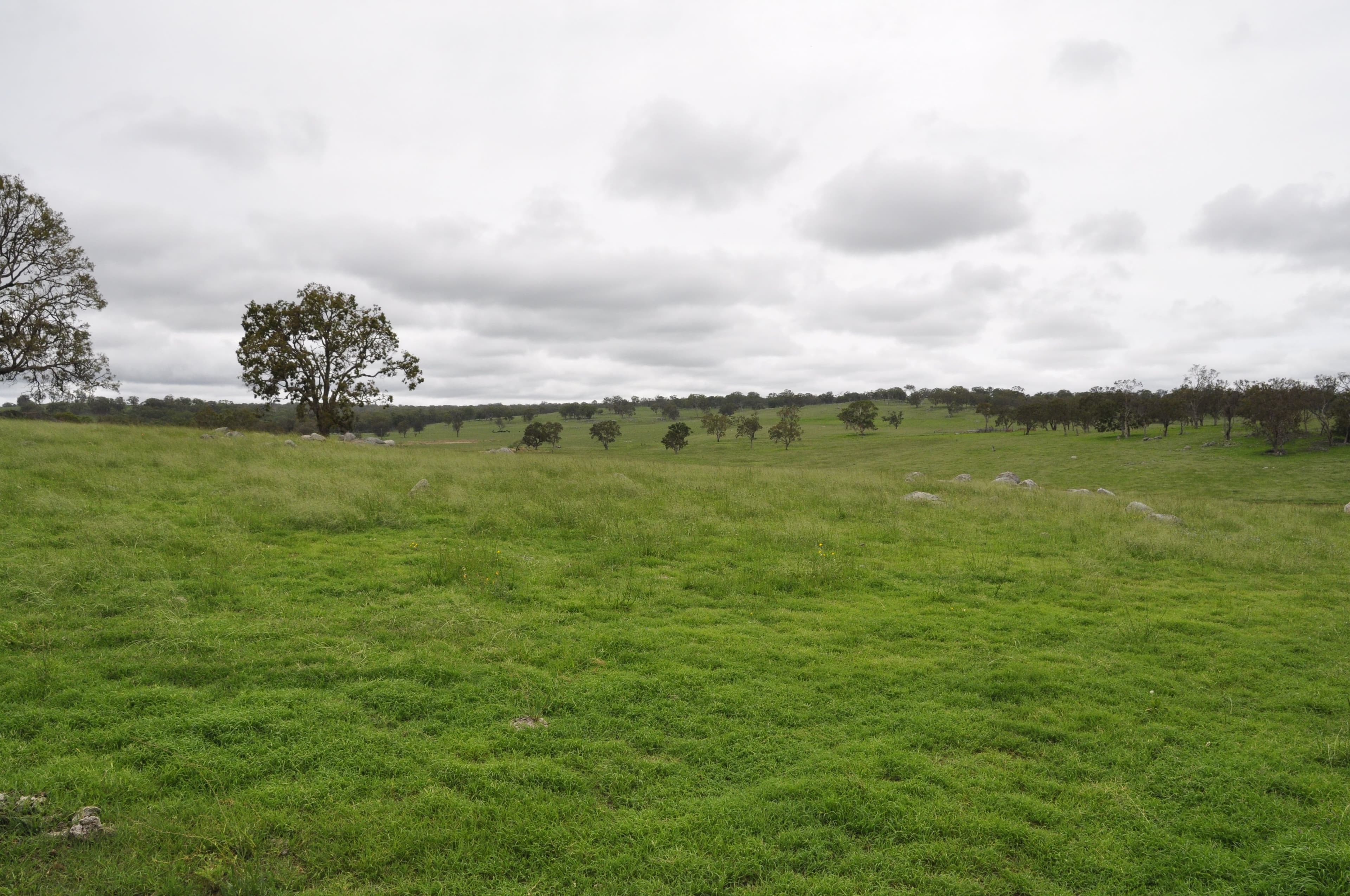 579 Wellington Vale Road, Deepwater NSW 2371, Deepwater - Thumbnail 3