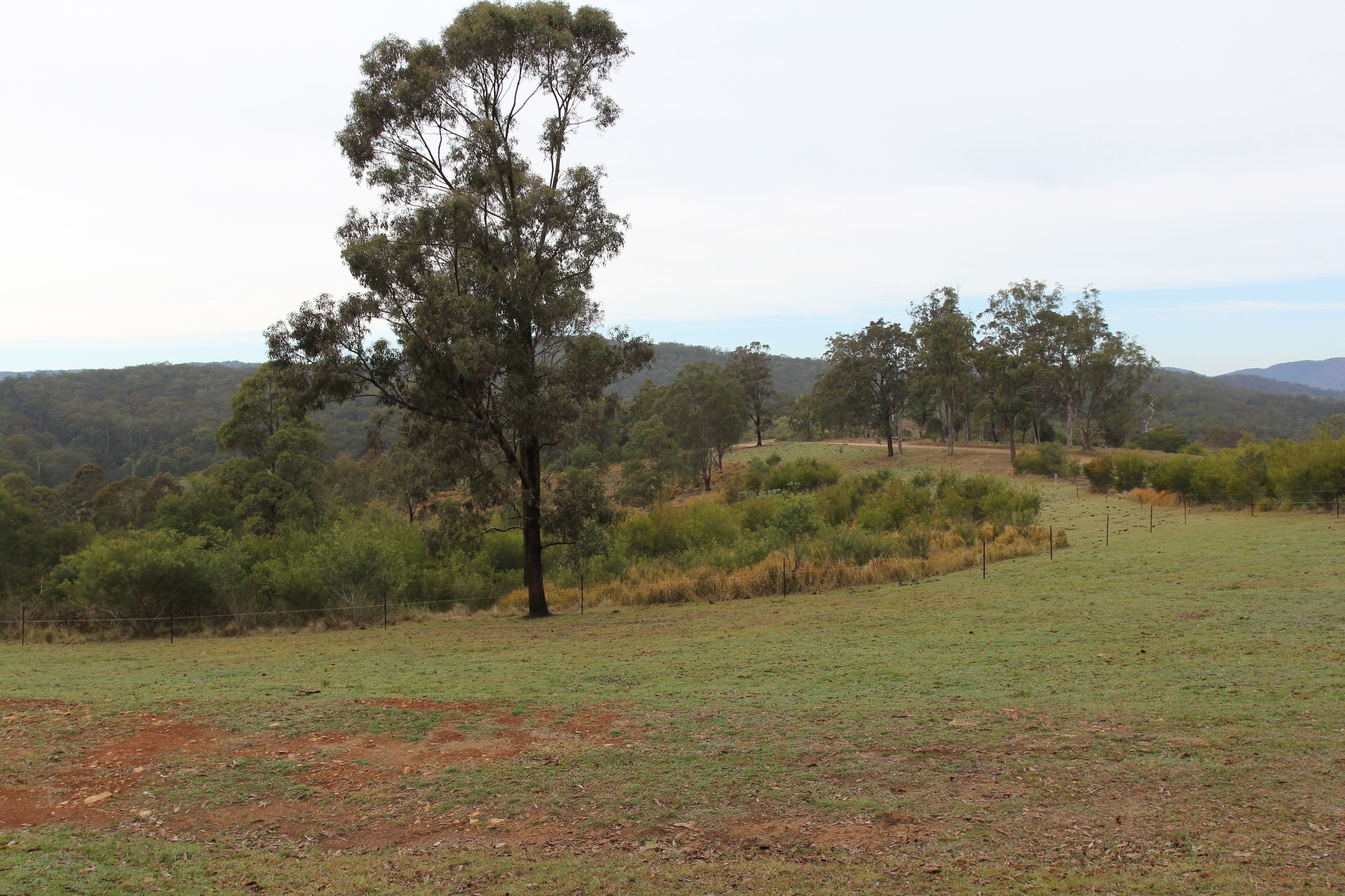 Lot 2 Rover Park Road, Sandy Hill NSW 2372, Sandy Hill - Thumbnail 4