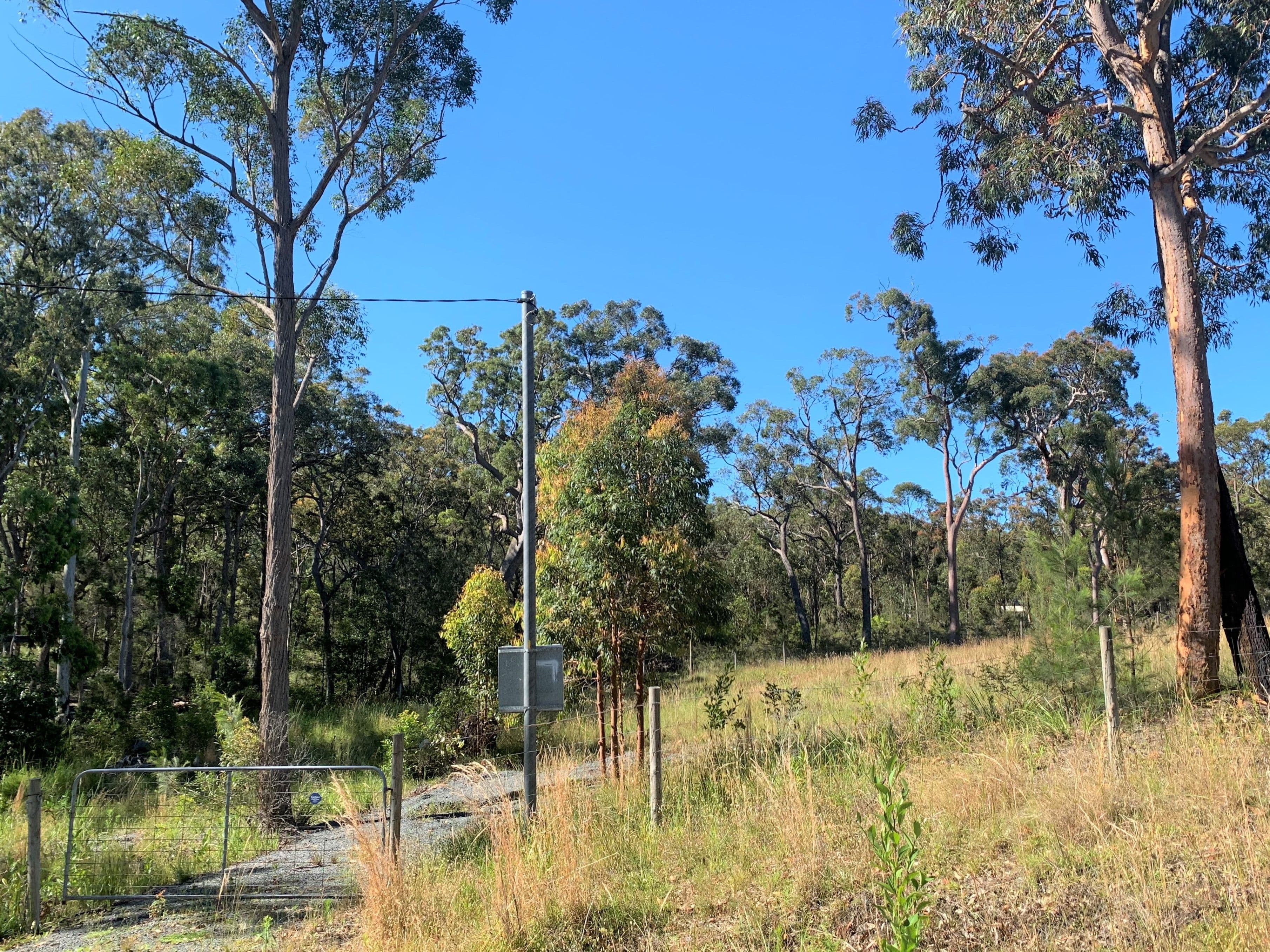 29 & 31 Cove Avenue, Bundabah NSW 2324, Bundabah - Thumbnail 2