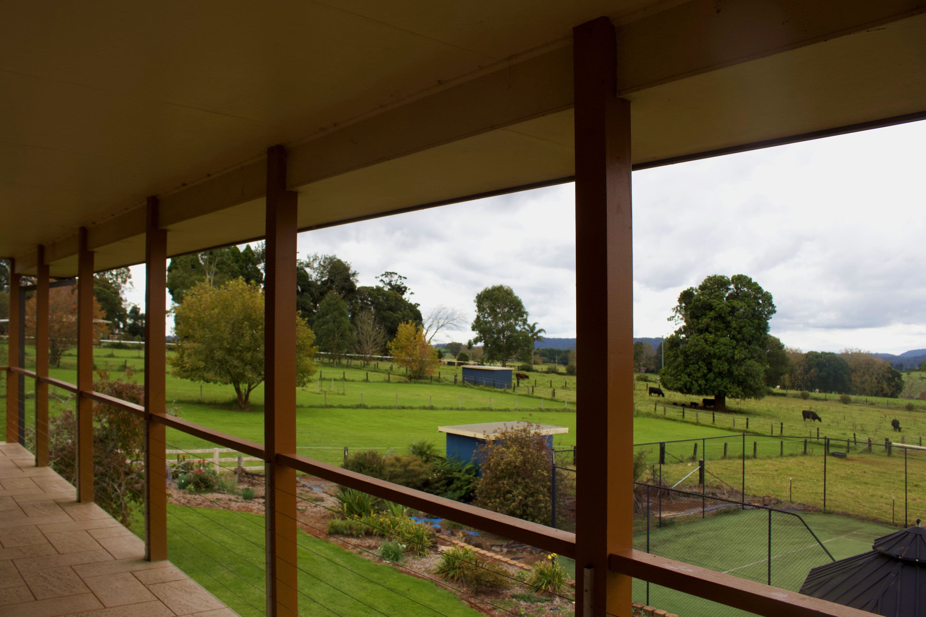621 Old Coast Road, Dorrigo NSW 2453, Dorrigo - Thumbnail 4