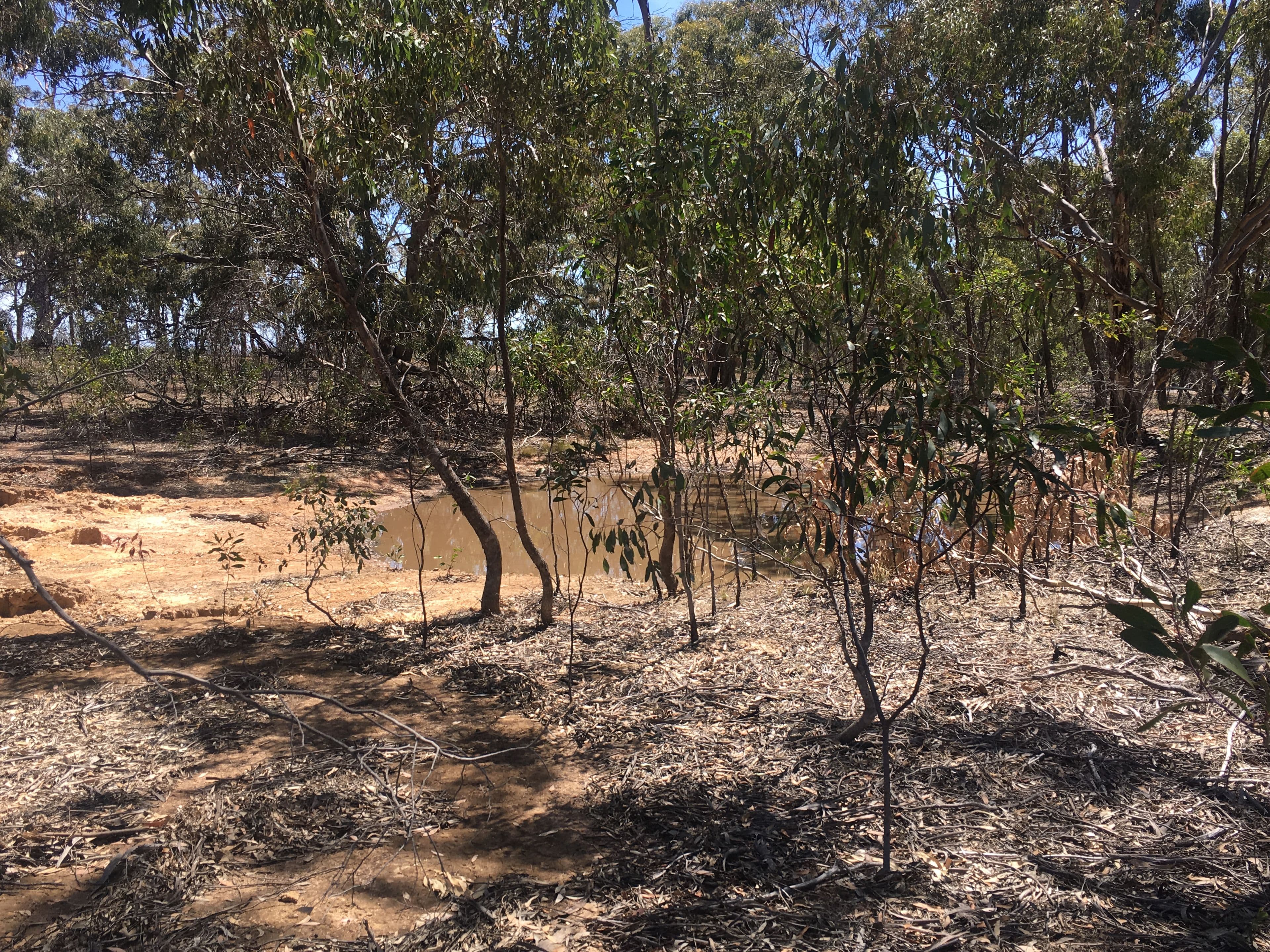 28 Forster Lane, Landsborough VIC 3384, Landsborough - Thumbnail 3