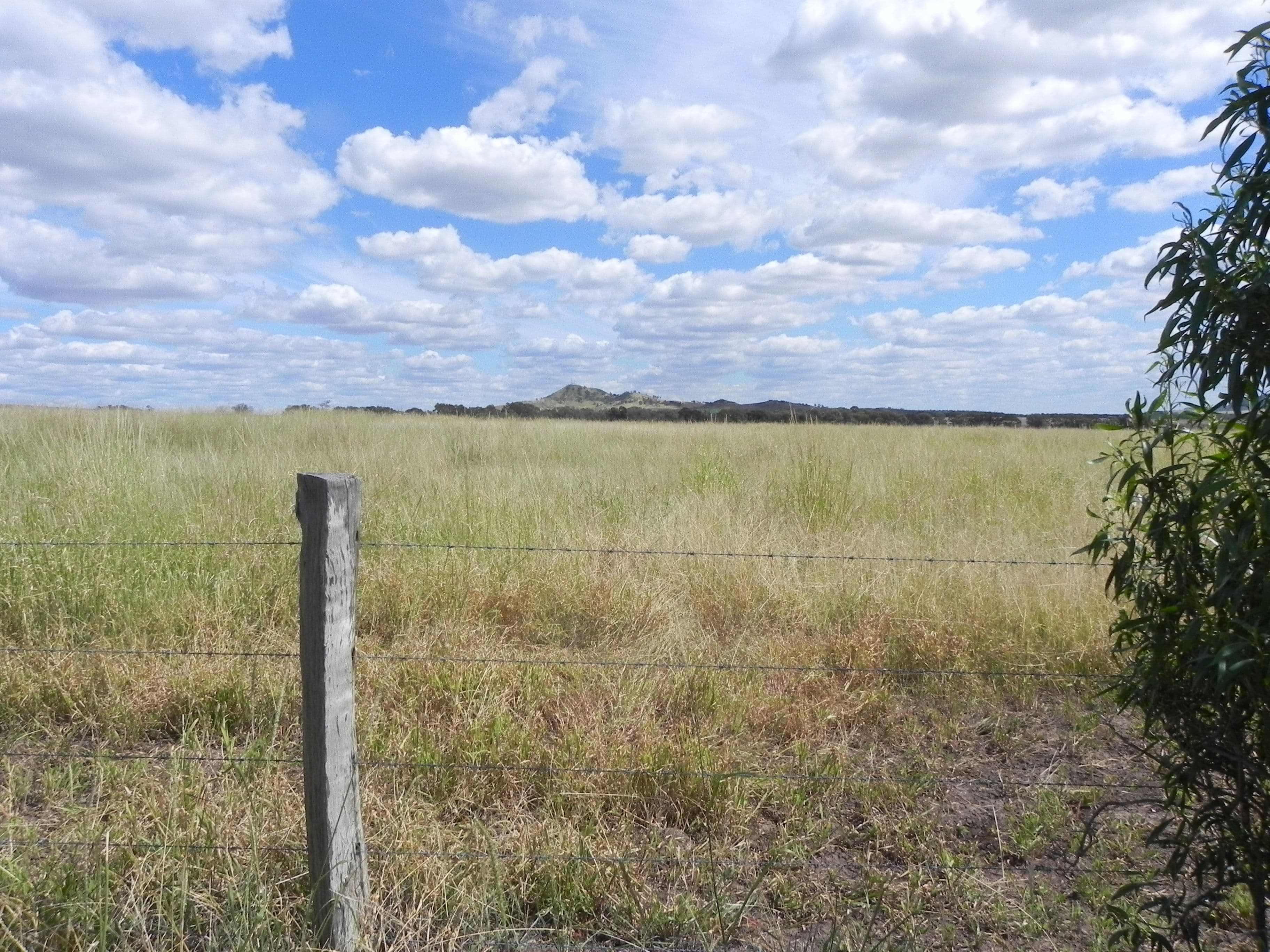 1075 Kooroongarra Road, Lavelle, Millmerran QLD 4357, Millmerran - Thumbnail 8