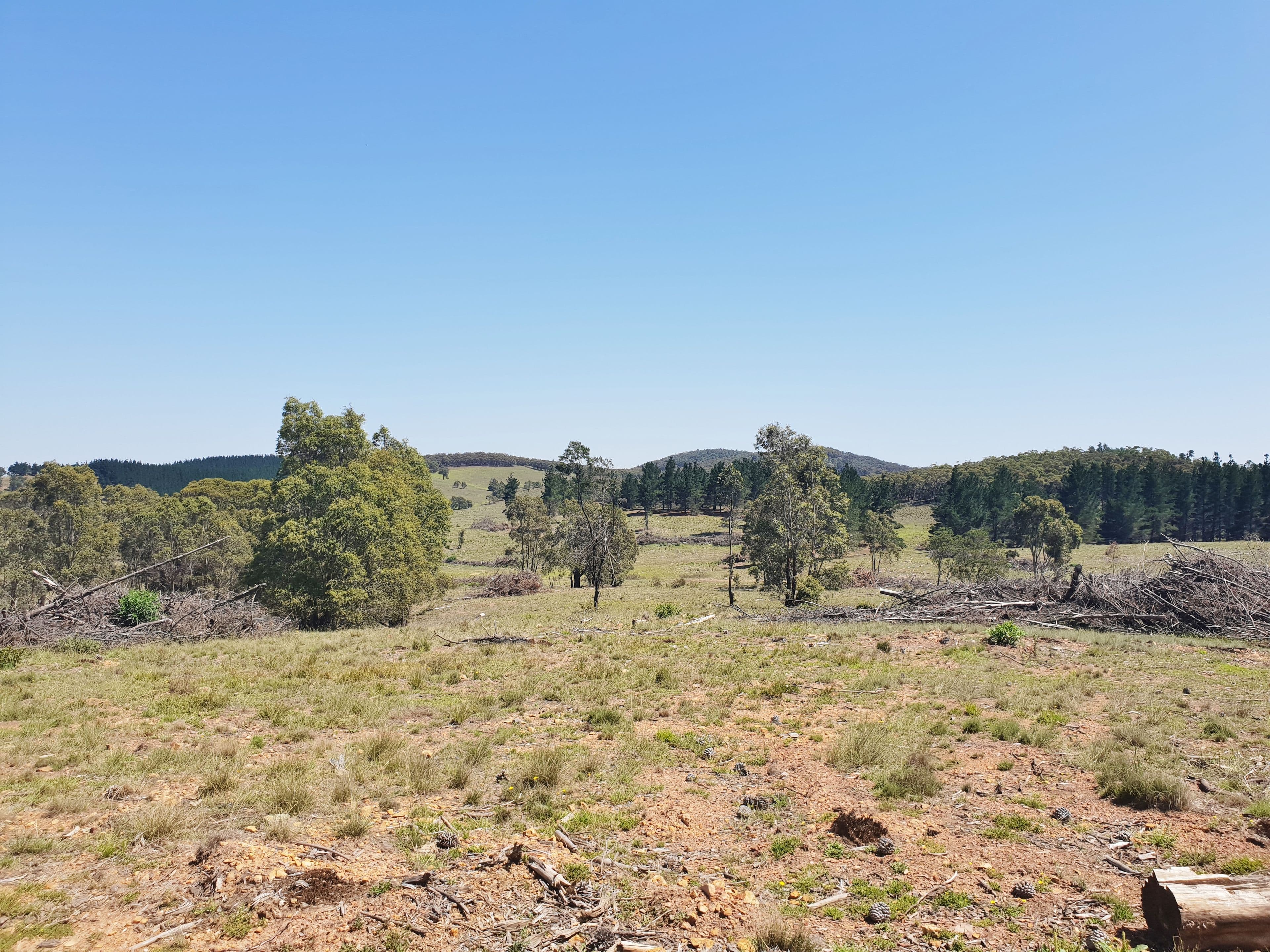 Lot 2 Mount Fairy Road, Mount Fairy NSW 2580, Mount Fairy - Thumbnail 6